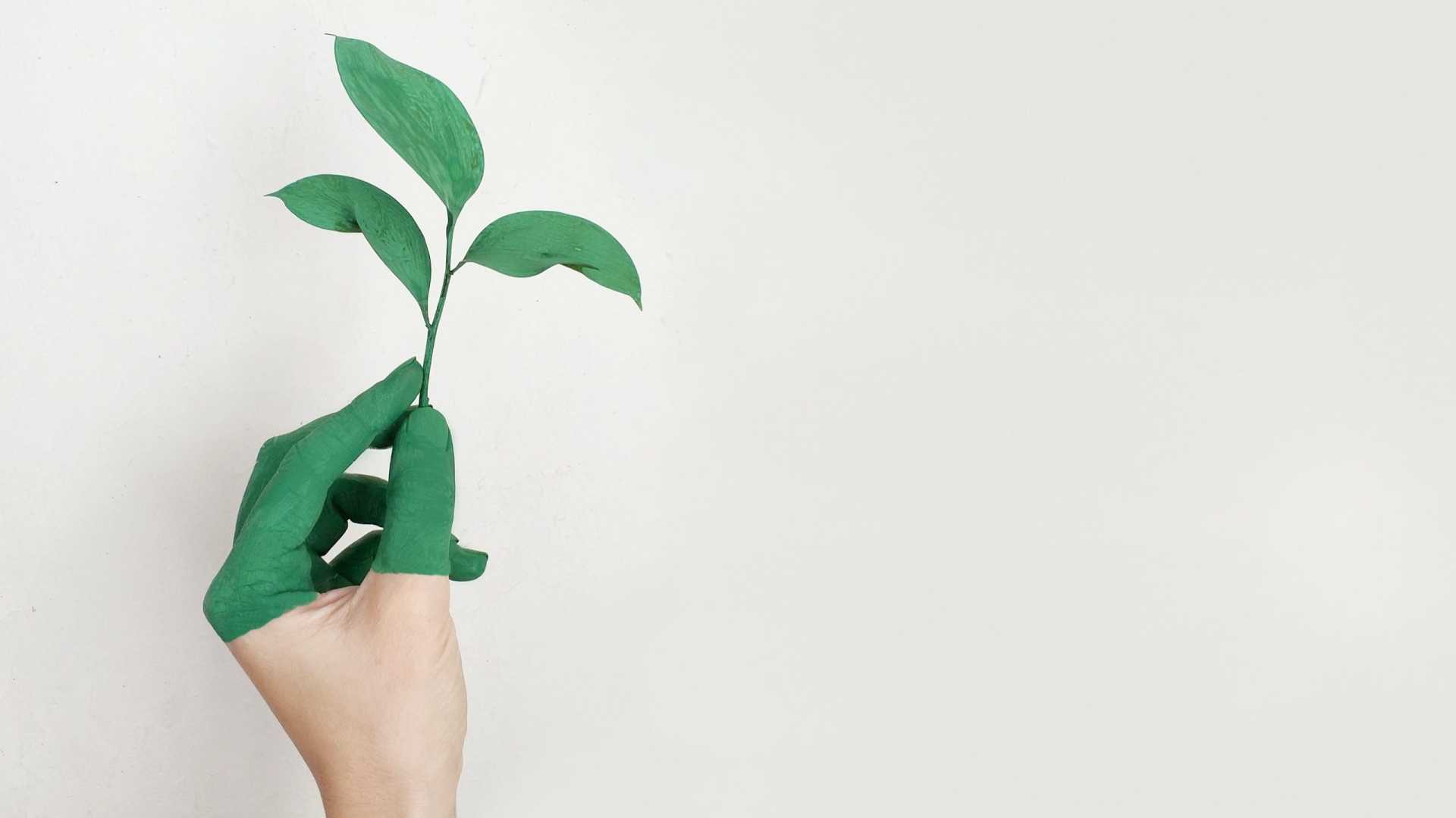 Sostenibilità, in Italia le donne superano gli uomini per comportamenti virtuosi