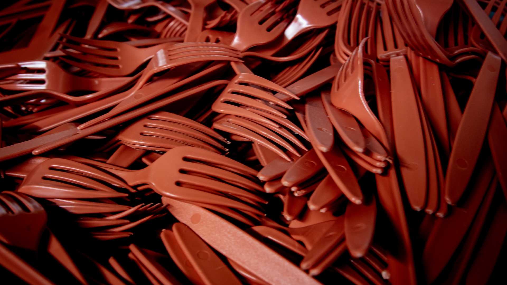 Addio alla plastica monouso: cosa è cambiato da venerdì 14 gennaio