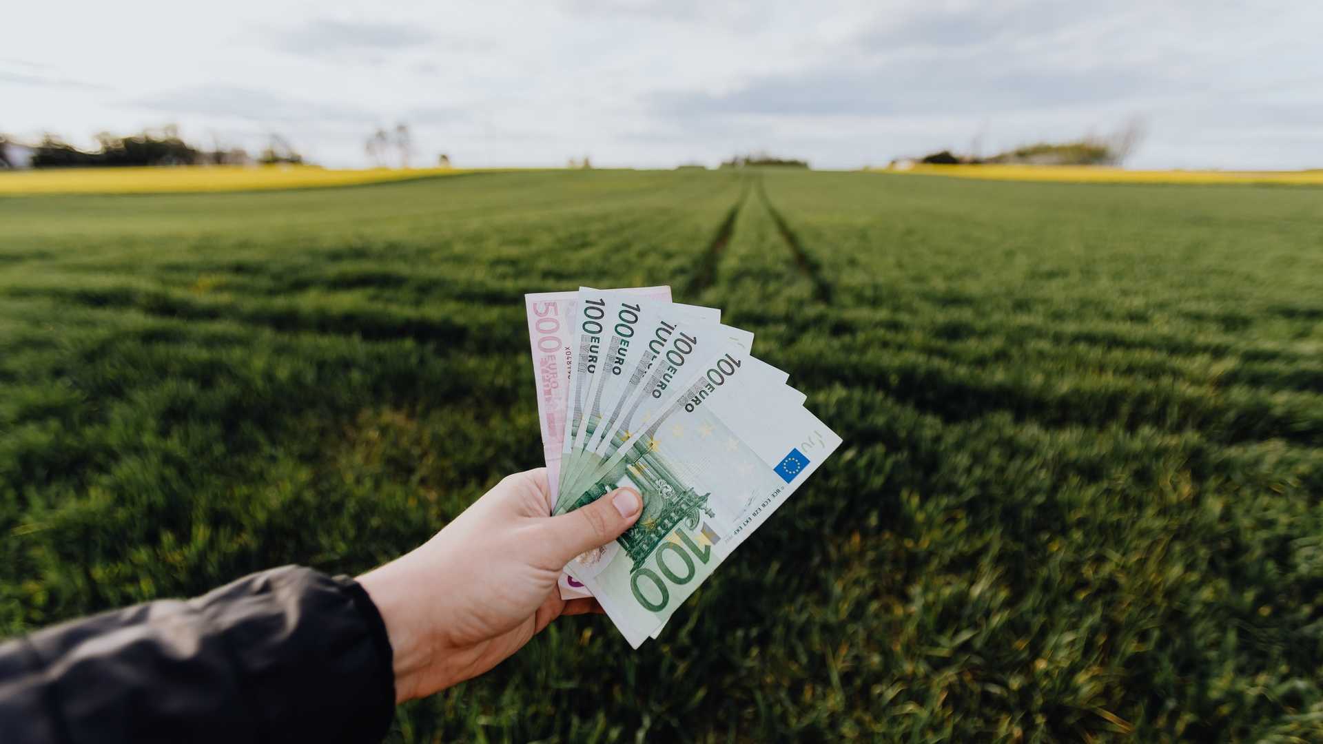 La Bce mette alla prova le banche sul cambiamento climatico con nuovi stress test