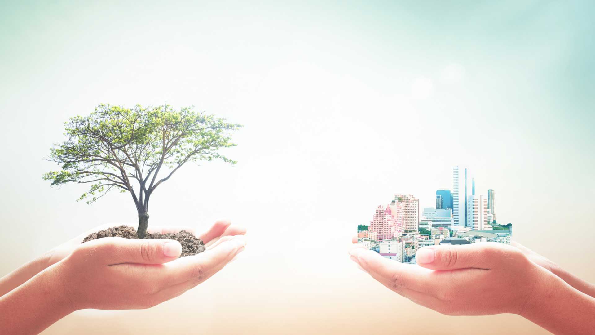 CSR, le aziende italiane sono sempre più attente nonostante la crisi
