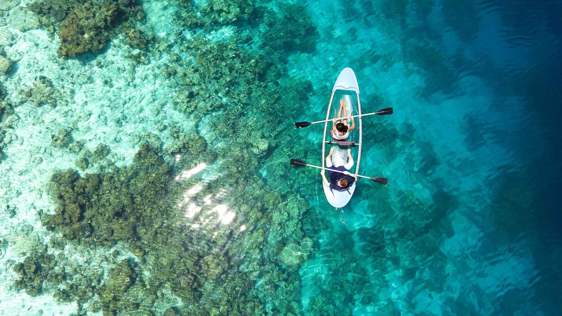 Mari ed oceani in pericolo, ecco i 15 problemi più urgenti per gli esperti
