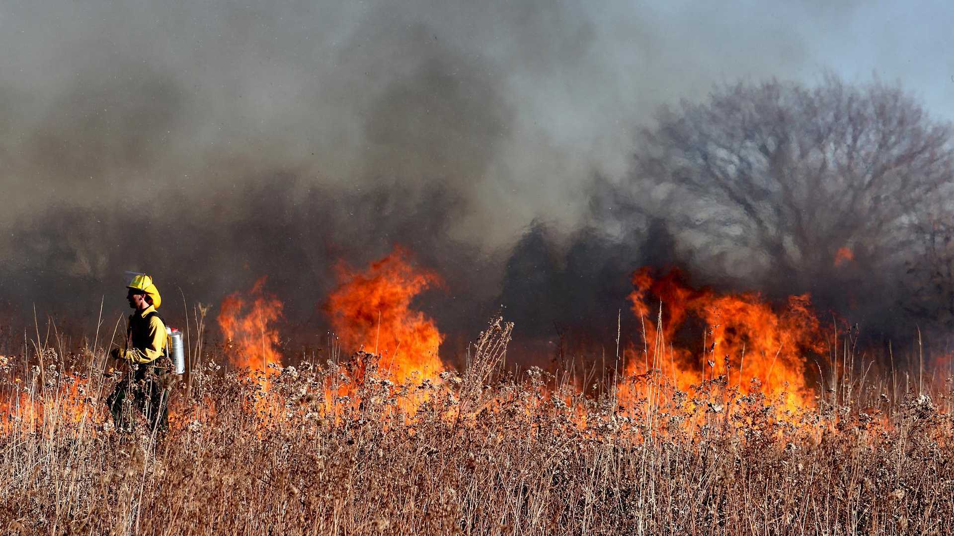 Greenpeace e la mappa degli incendi nel mondo: per l’Onu continueranno ad aumentare
