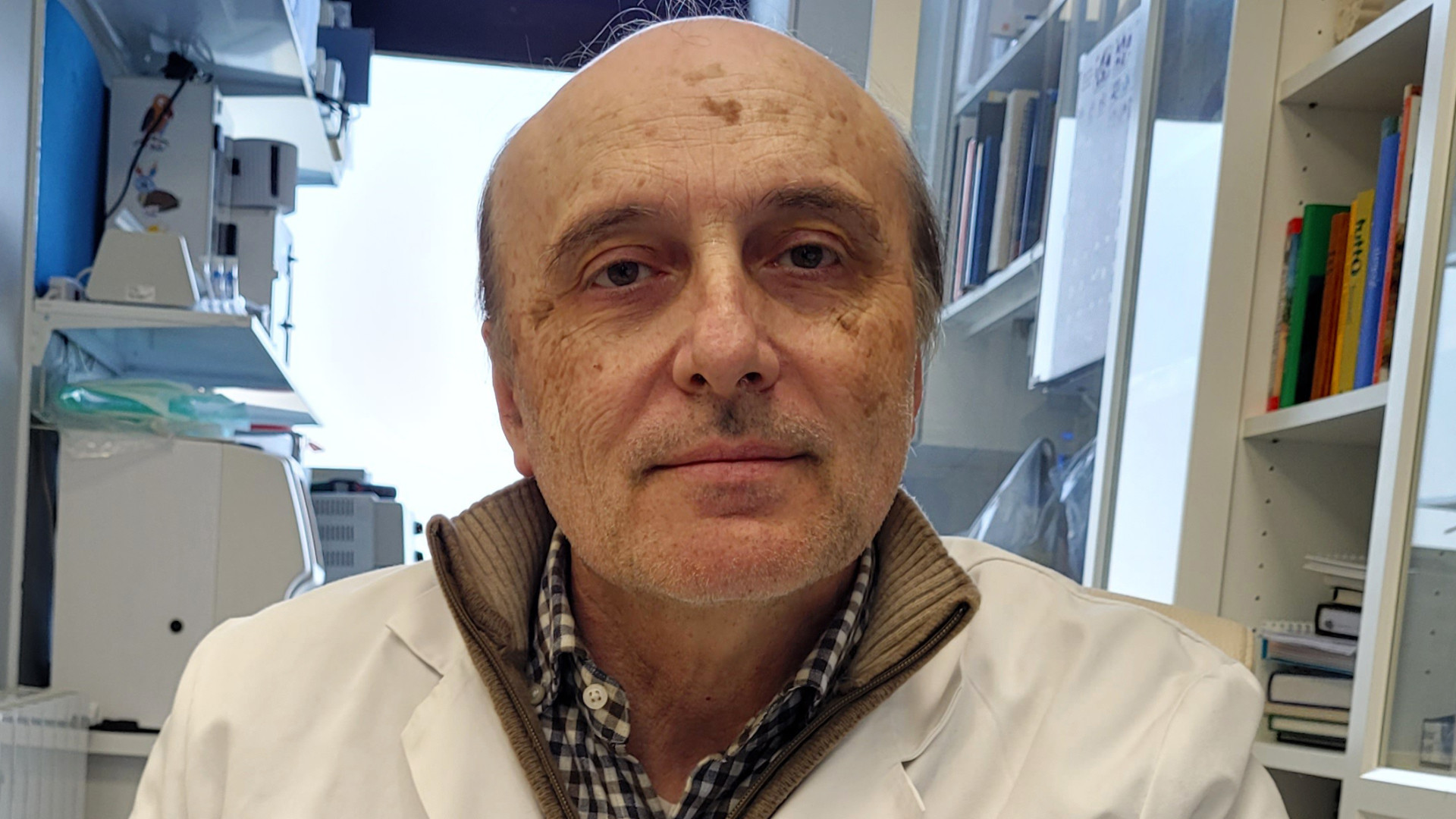 Farfalle sentinelle ambientali: la cassandra sul Po è la migliore