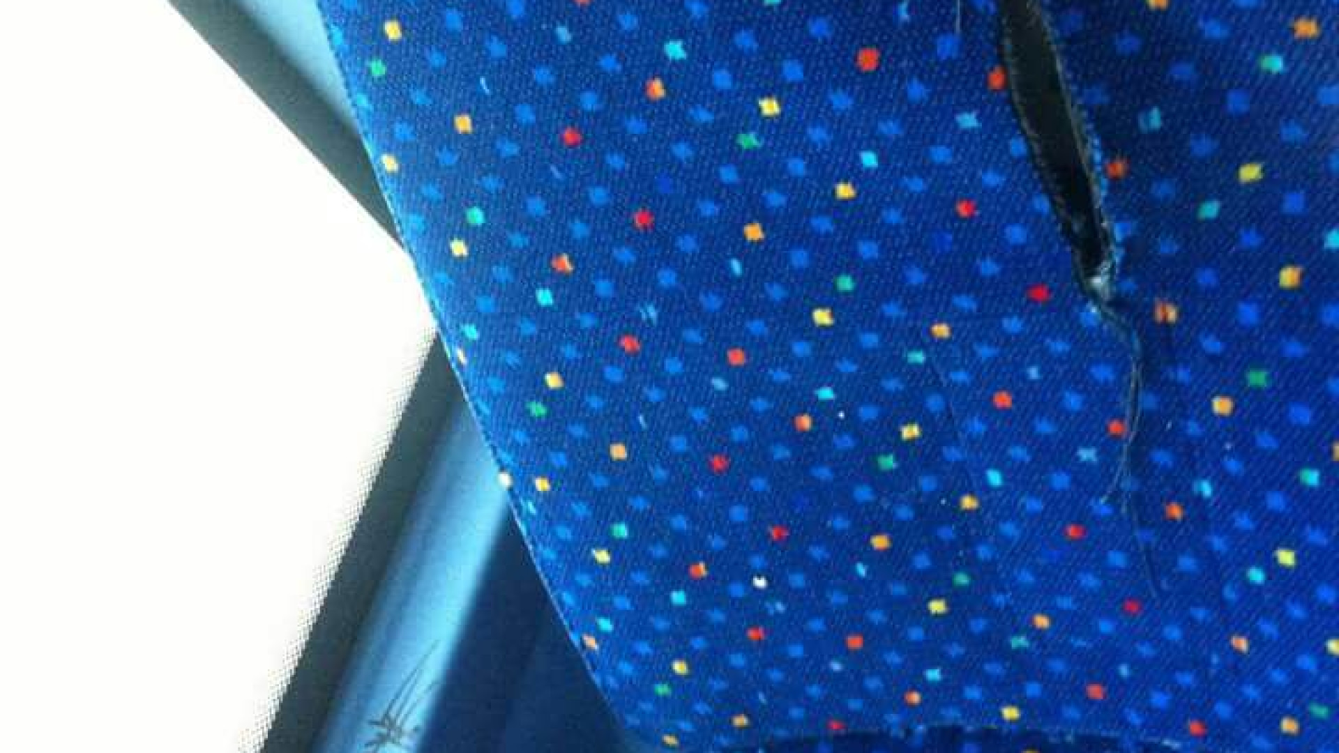 Nuovi pullman Seta già danneggiati dai vandali. GUARDA LE FOTO