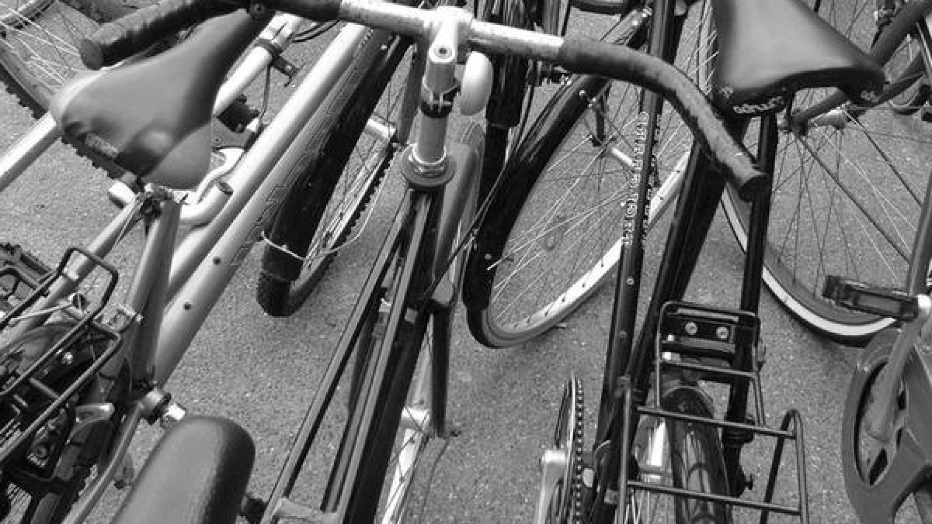 Furti a raffica di biciclette, nei guai due trentenni piacentini