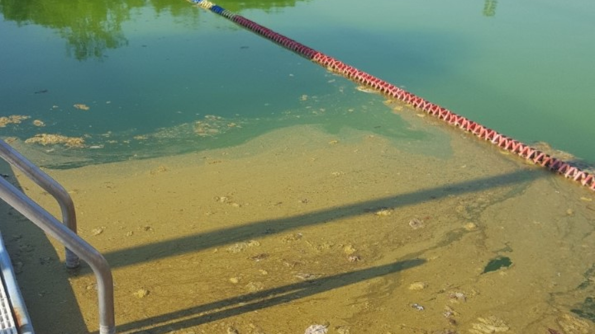 "Attrezzature di mia proprietà". Il gestore della piscina replica al Comune
