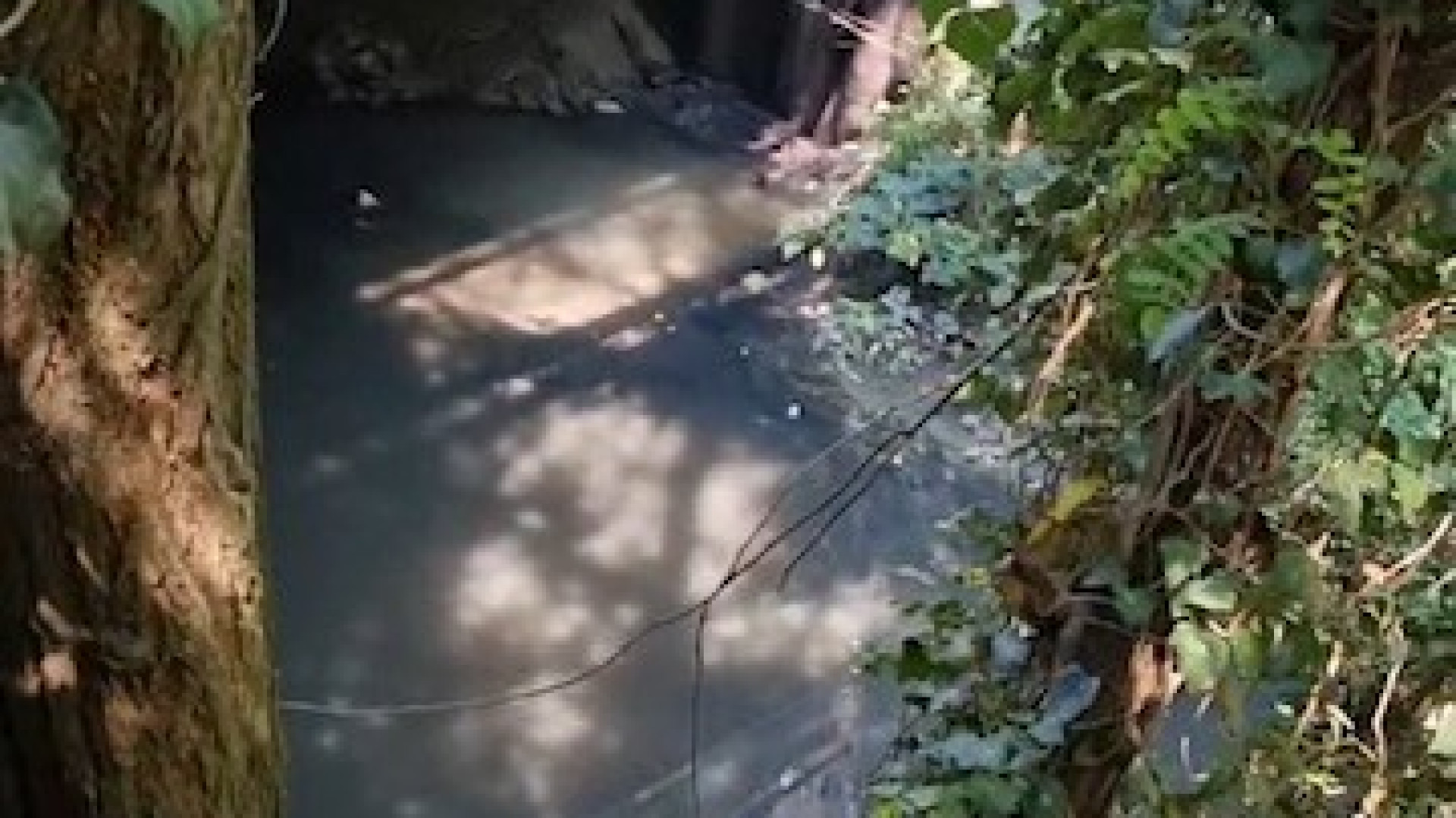 Castel San Giovanni, residenti disperati: "Il rio Carona è una fogna a cielo aperto"
