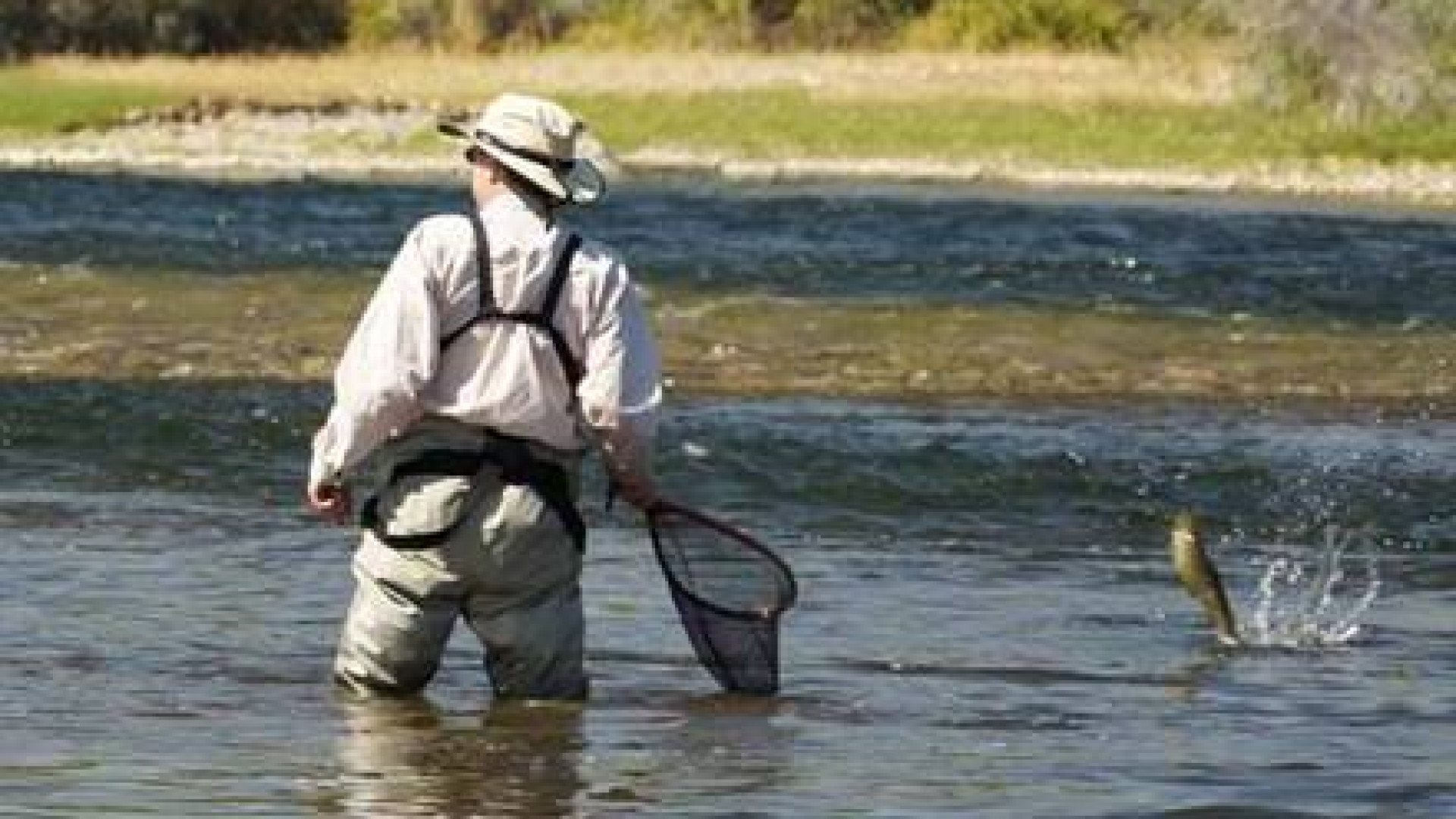 Due nuove riserve di pesca in arrivo: a Salsominore e a Ferriere