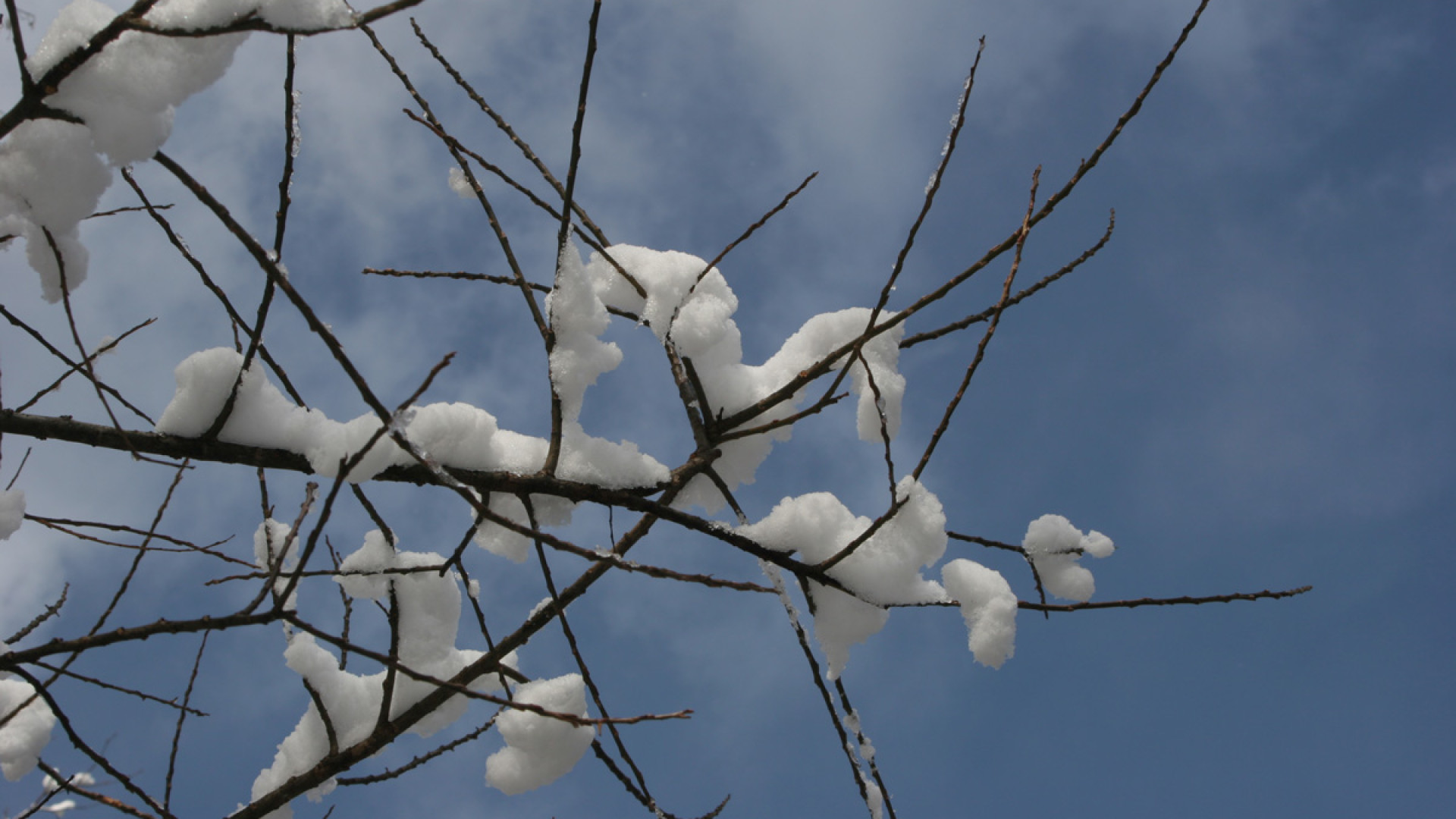 Il gelo non cede: freddo per tutta la settimana, ancora neve venerdì
