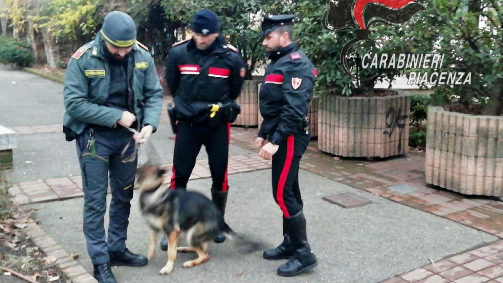 Controlli in centro, trovato hashish nascosto nella siepe sul Facsal