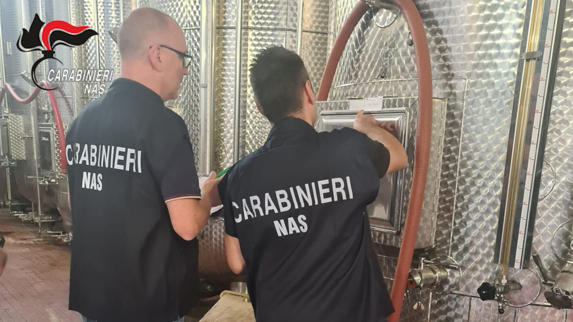 "Gutturnio e Ortrugo doc contraffatti da due aziende piacentine": 12 denunce