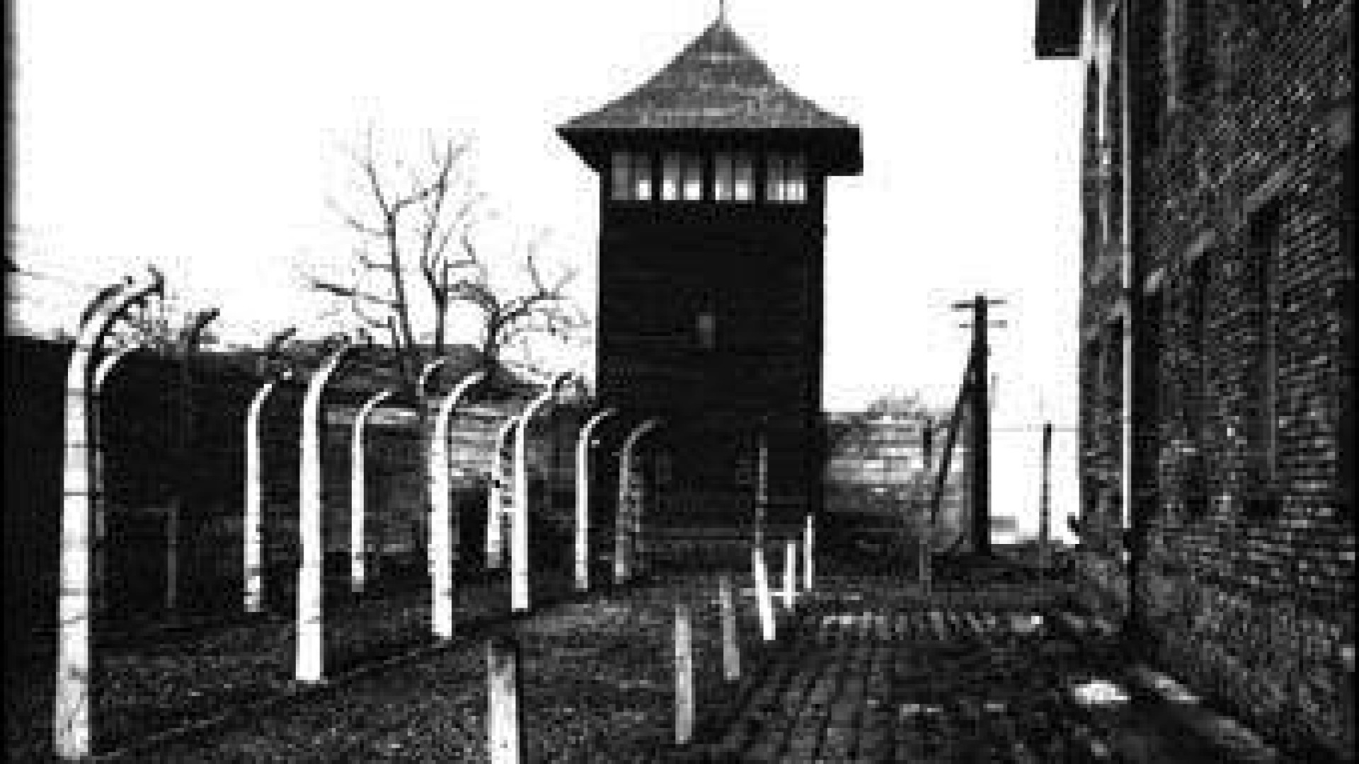 Giorno della memoria, al via le iniziative. Domenica Uri Orlev alla Fondazione