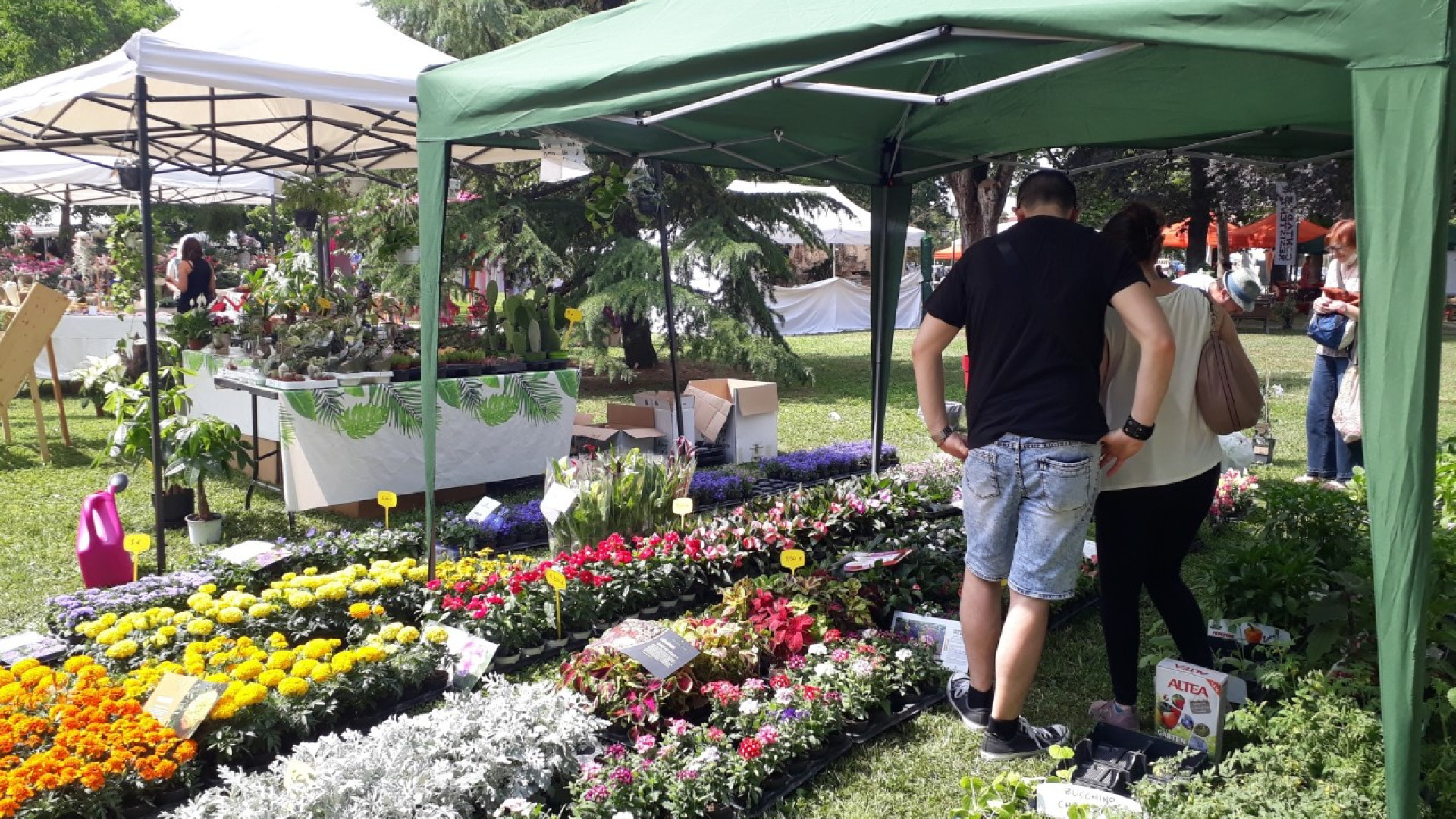 Piante e prodotti bio: successo per Floravilla nel parco di Villa Braghieri