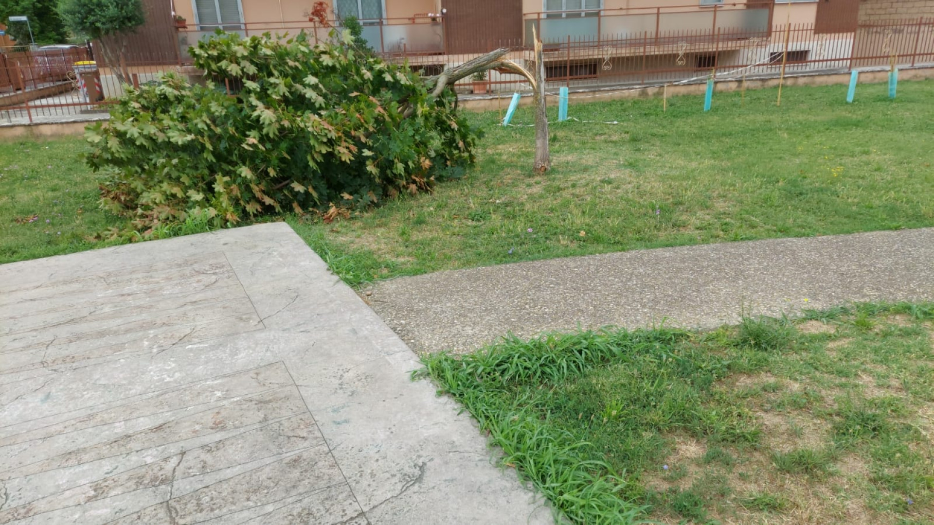 Giardino della Pace, i residenti: "Incuria e pericoli, occorre intervenire"