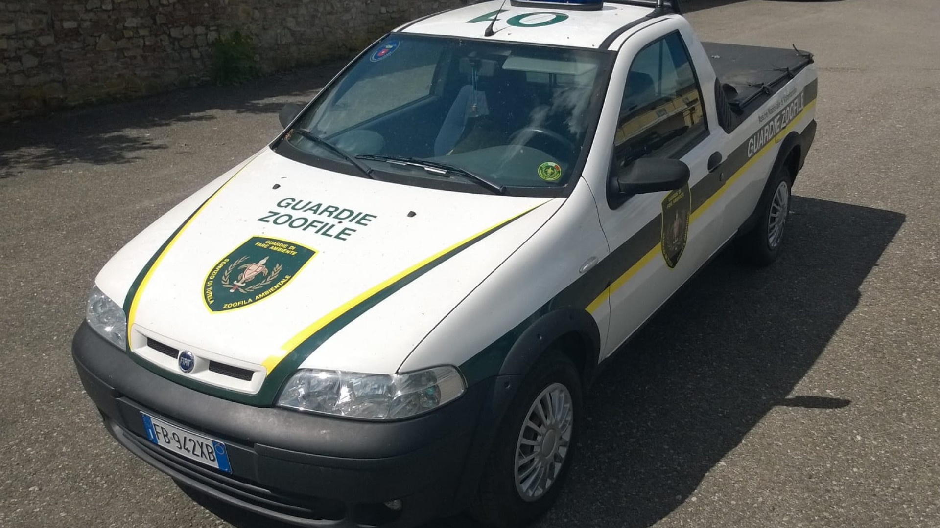 Orrore in un appartamento di Piacenza, trovati un cane e tre gatti morti di stenti