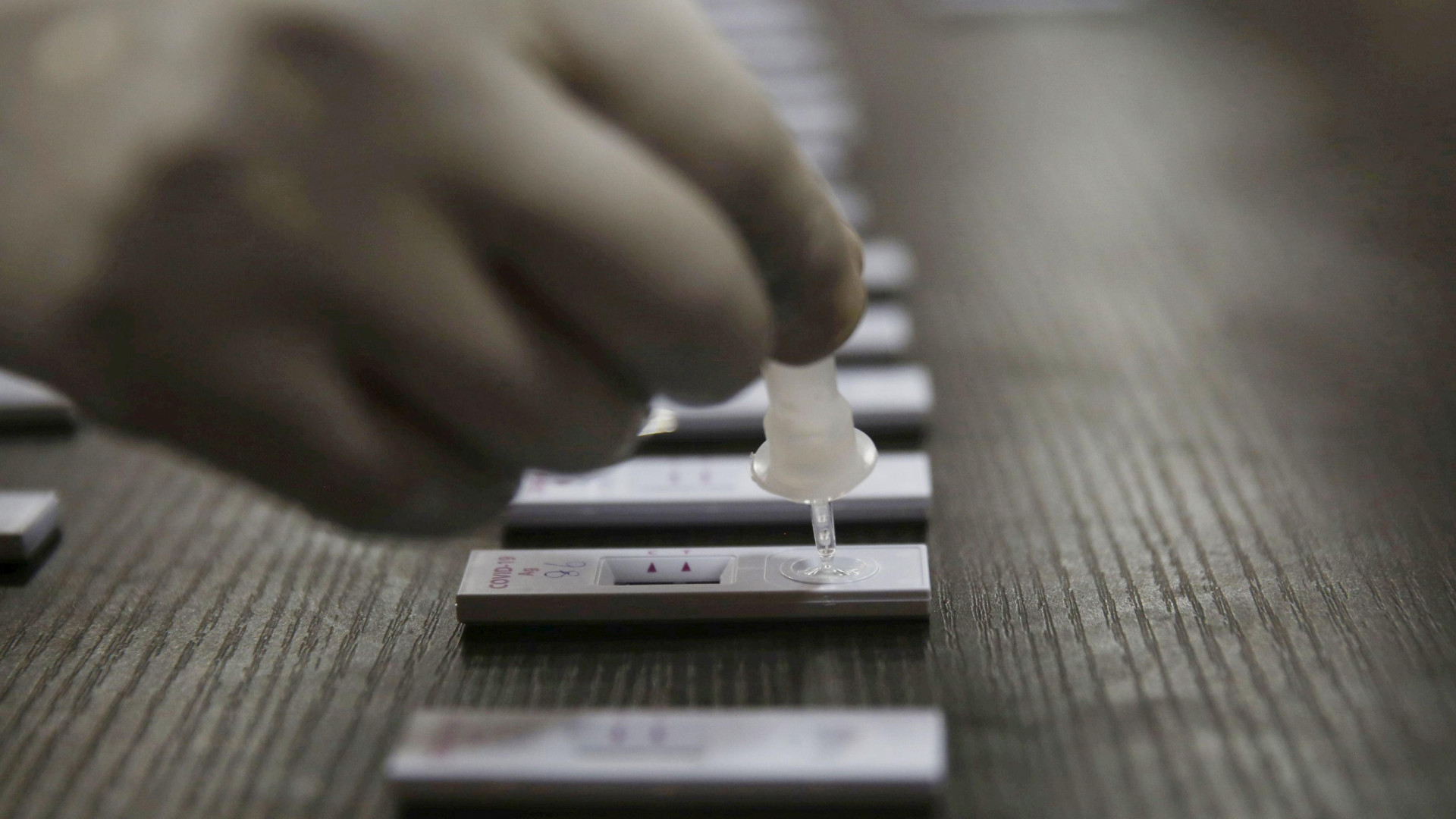 Fascicolo sanitario: stop di un'ora stasera. L'autotesting si può caricare in automatico