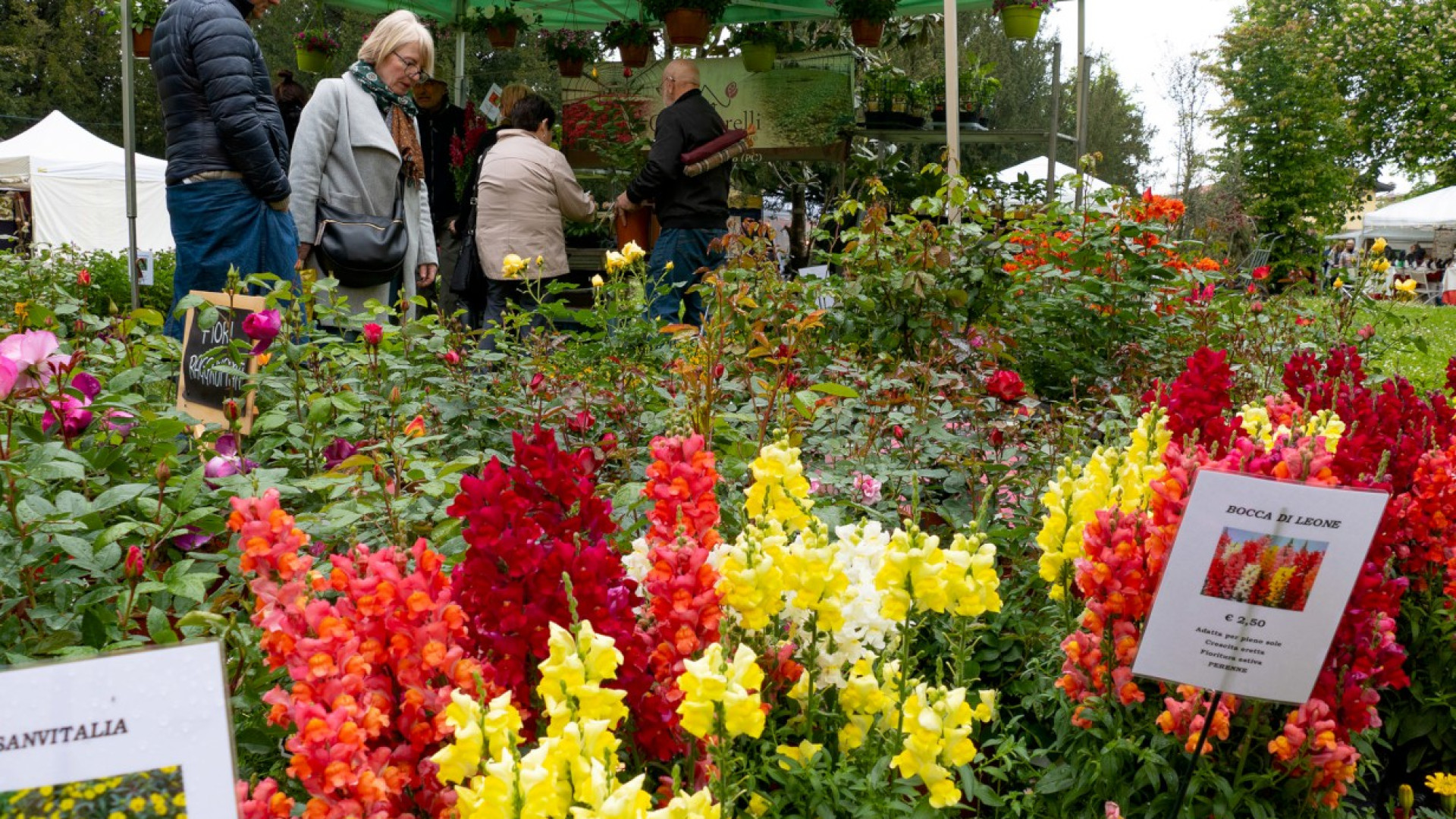 Castel San Giovanni, non solo fiori e piante: a Floravilla miele, formaggi e solidarietà