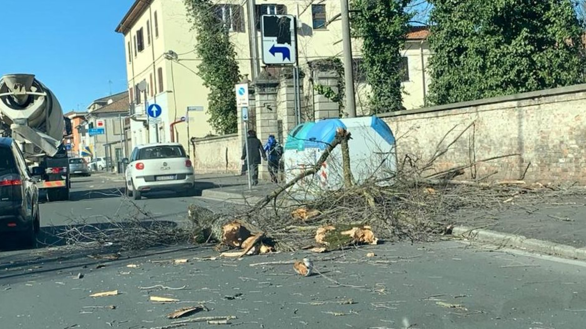 Vento forte: albero caduto a San Lazzaro, rami sulle auto. Intervento dei vigili del fuoco