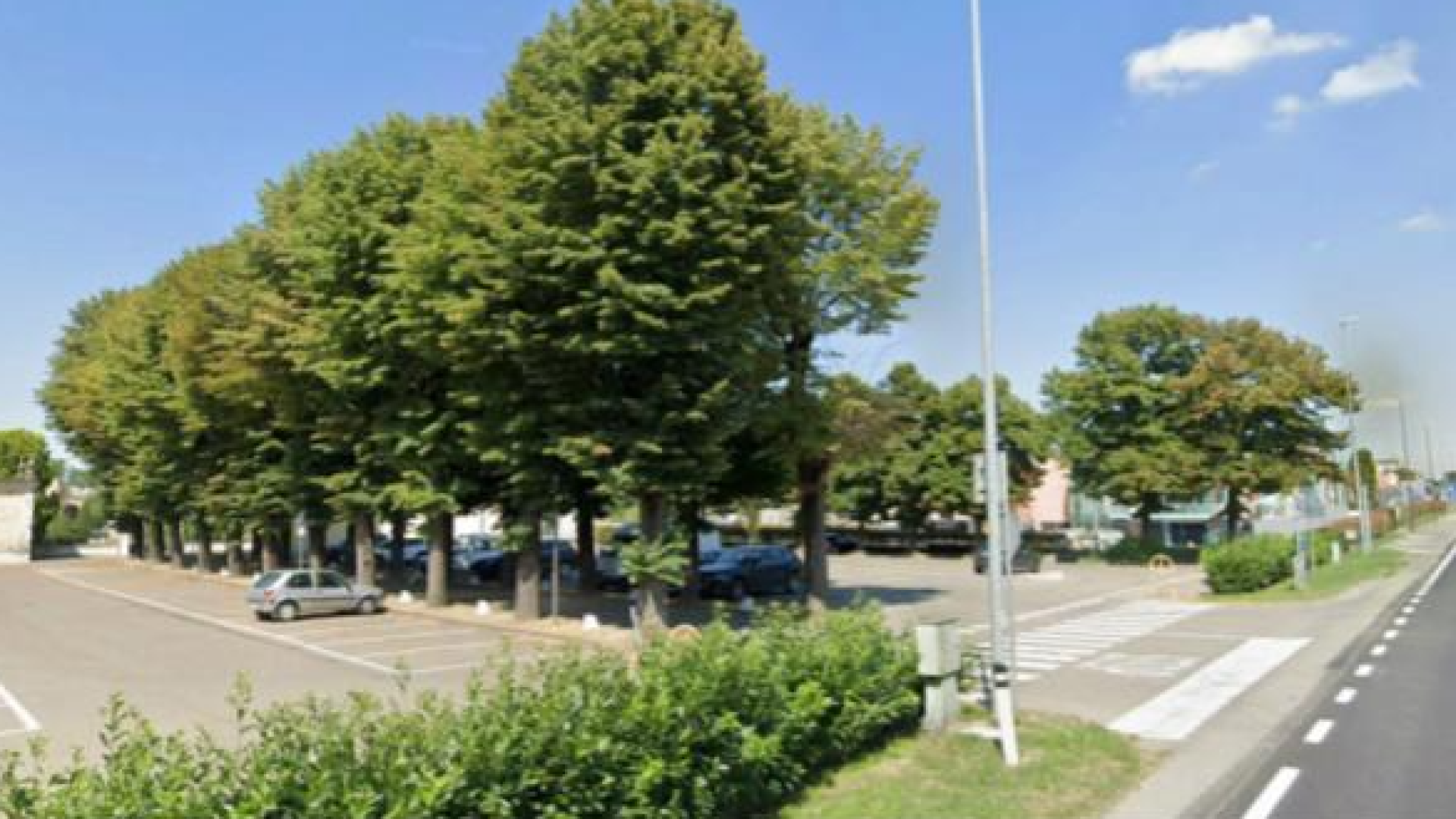 Rottofreno, al via i controlli sulla stabilità e lo stato di salute degli alberi