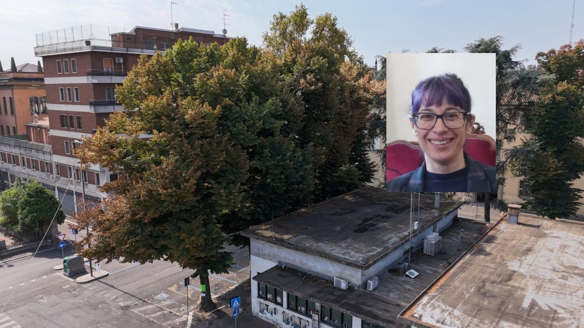 Alberi in piazza Cittadella, l'assessora Groppelli: "Abbattimento inevitabile"