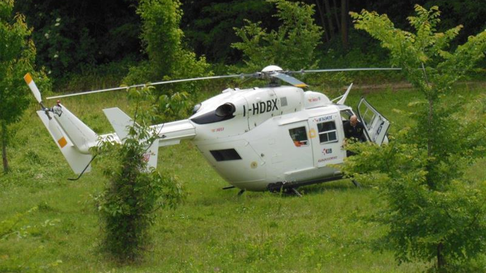 Punture di insetti, anziana portata all'ospedale dall'elisoccorso
