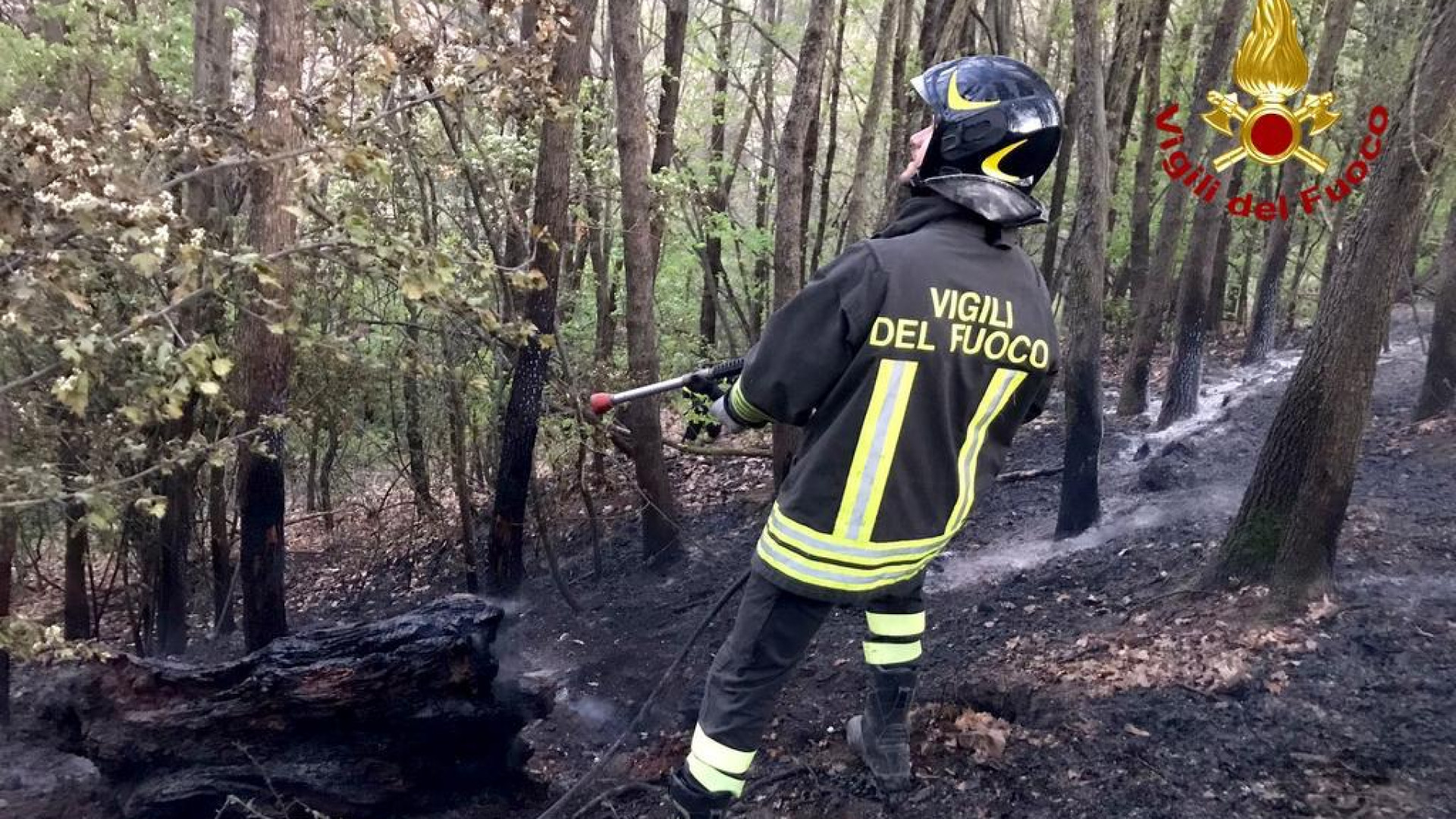 Attivata la fase di attenzione per gli incendi boschivi: le linee guida della prefettura