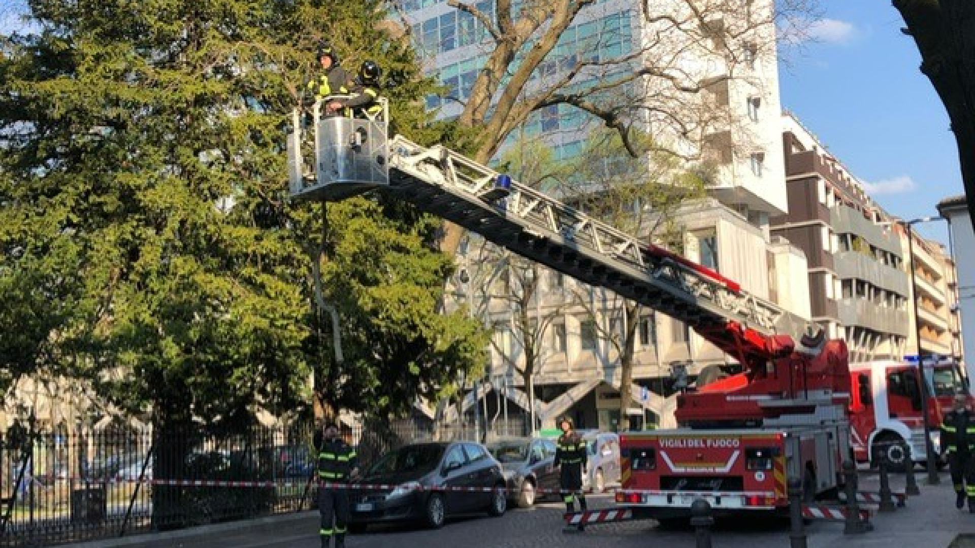 Ramo pericolante: intervento dei vigili del fuoco e via Alberoni chiusa al traffico
