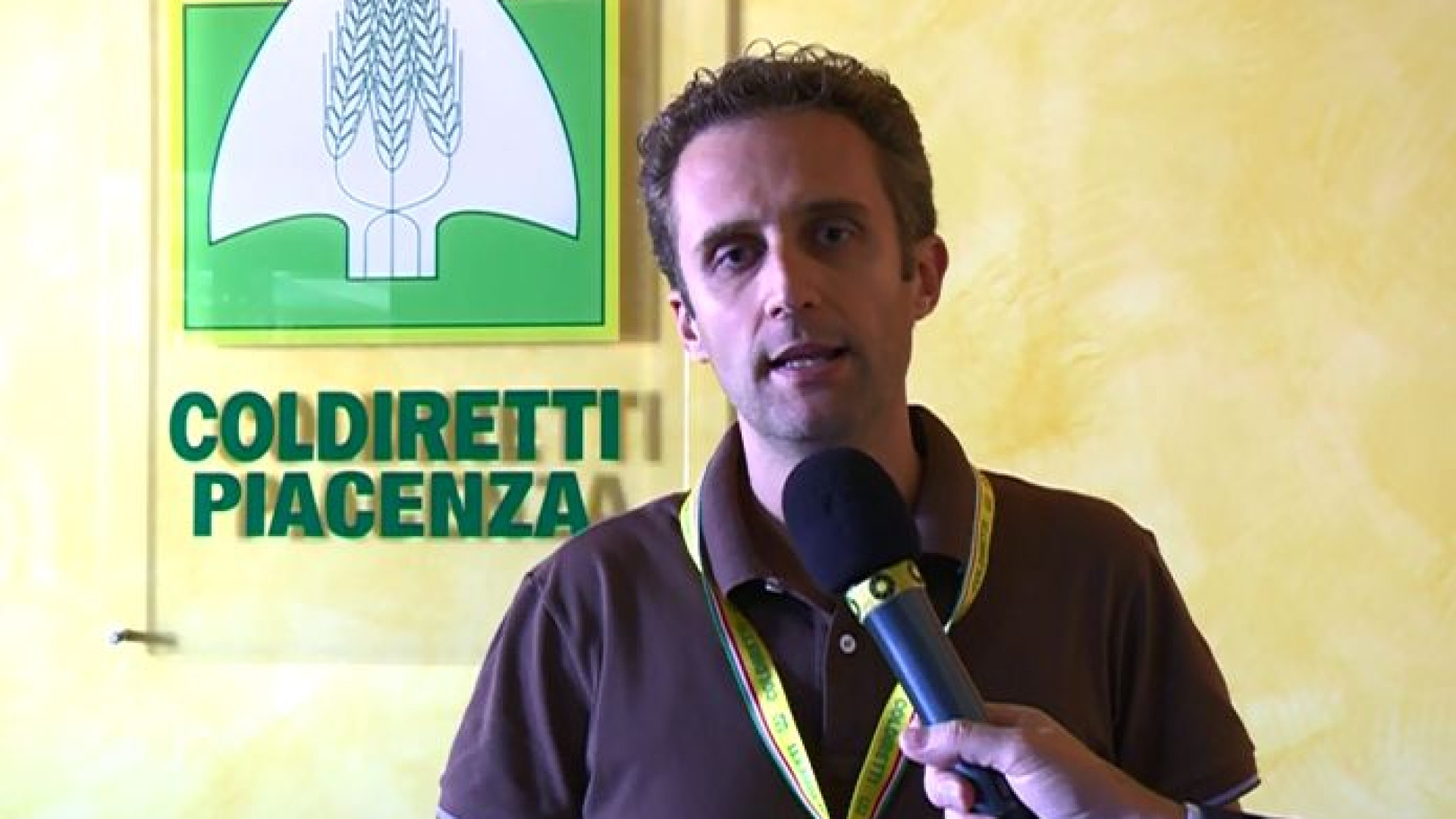 Commercio elettronico e innovazione, dalle cantine domande per 1,6 milioni
