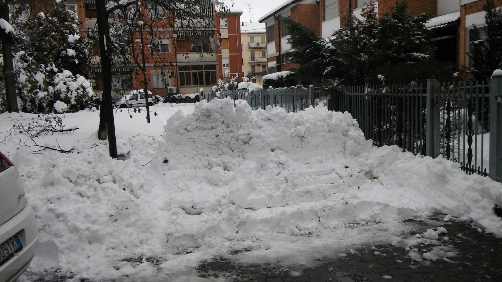 Nevicate in città: dal Comune di Piacenza le informazioni utili per i cittadini