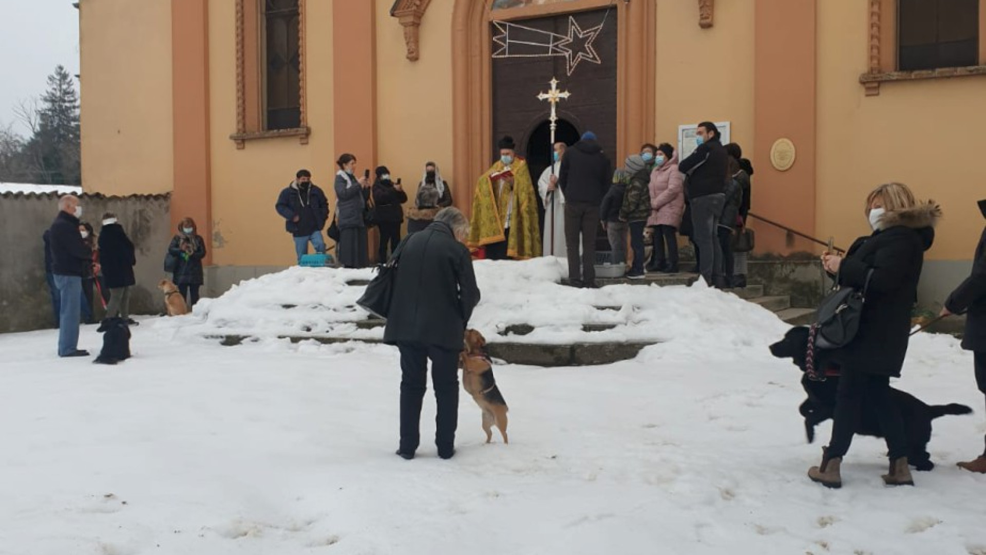 Cani, gatti, galline, cavalle, un gallo: a Torrano la tradizionale benedizione degli animali