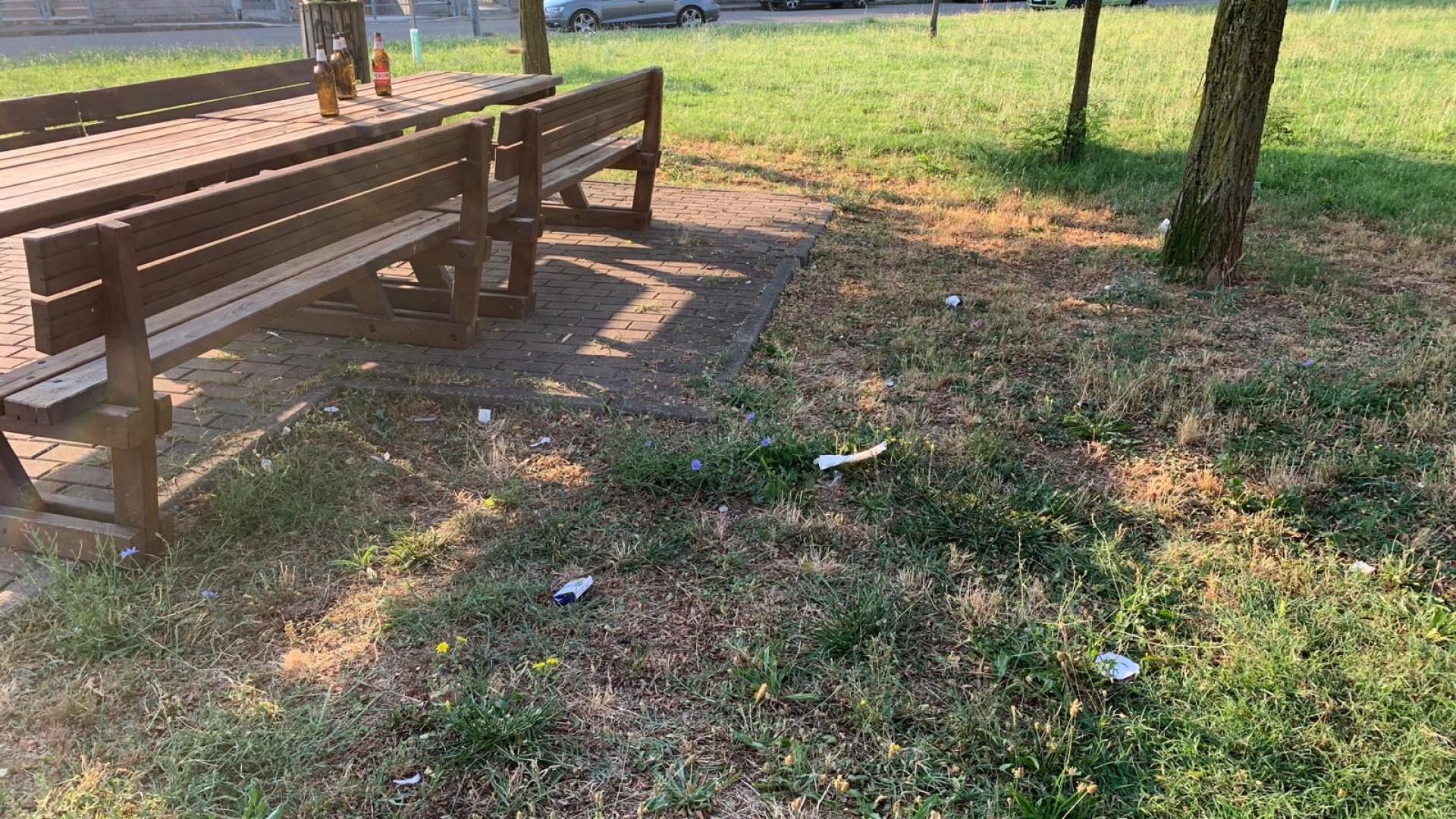 Bivacchi e rifiuti nel giardino di via Marzioli, Zandonella: "Il Comune intervenga"