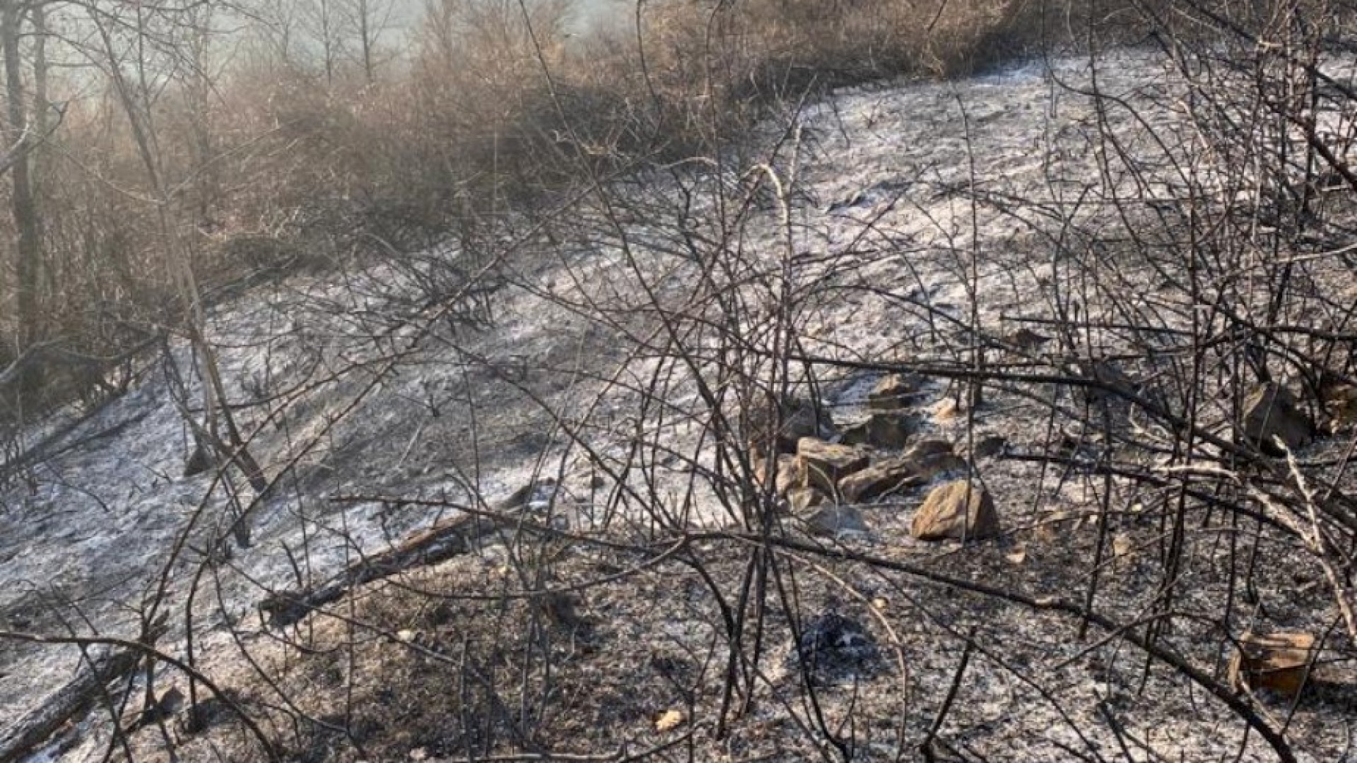 Incendi boschivi, in tre anni 27 roghi. La prefettura: "I cittadini collaborino"