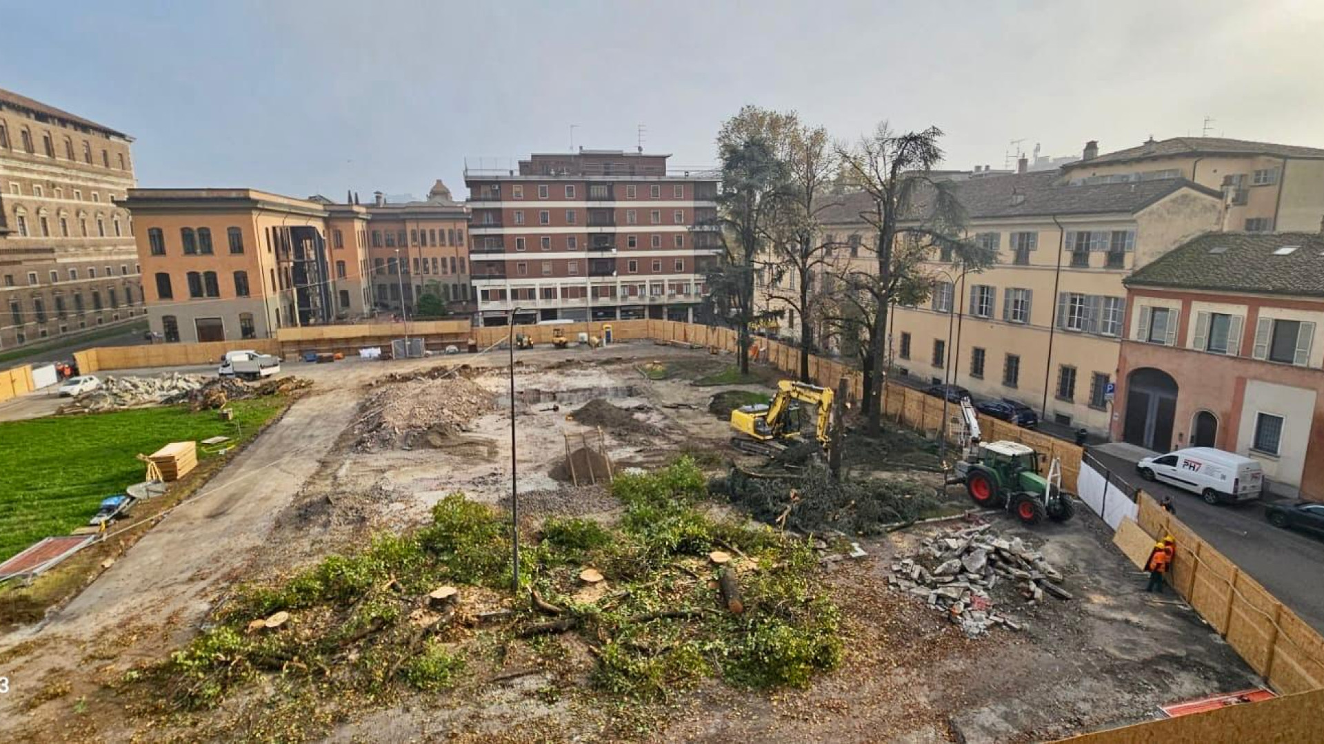 Piazza Cittadella dice addio ai quindici alberi: prosegue l'abbattimento