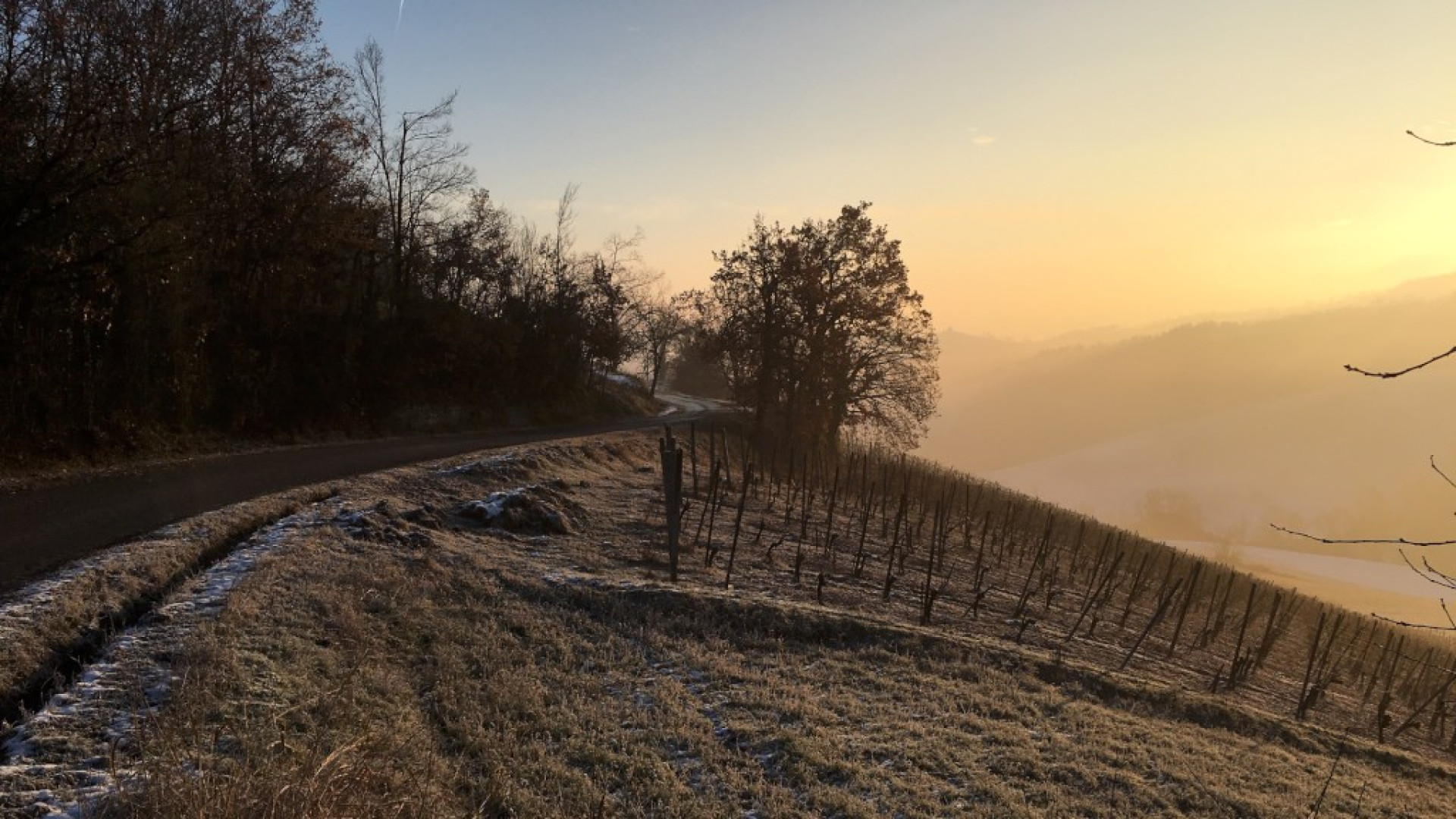 Venerdì primo assaggio d'inverno: correnti artiche e minima a zero gradi