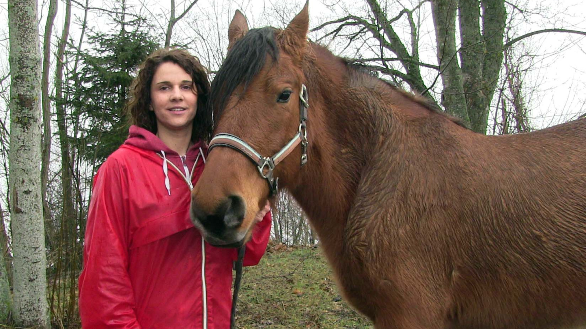 Groppallo e Piacenza: cani, gatti e cavalli in coda per la benedizione