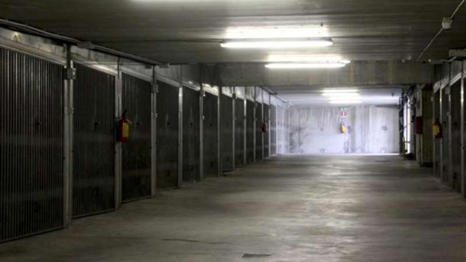 Raid notturno in città: colpite cantine e garage dei residenti di via Tansini