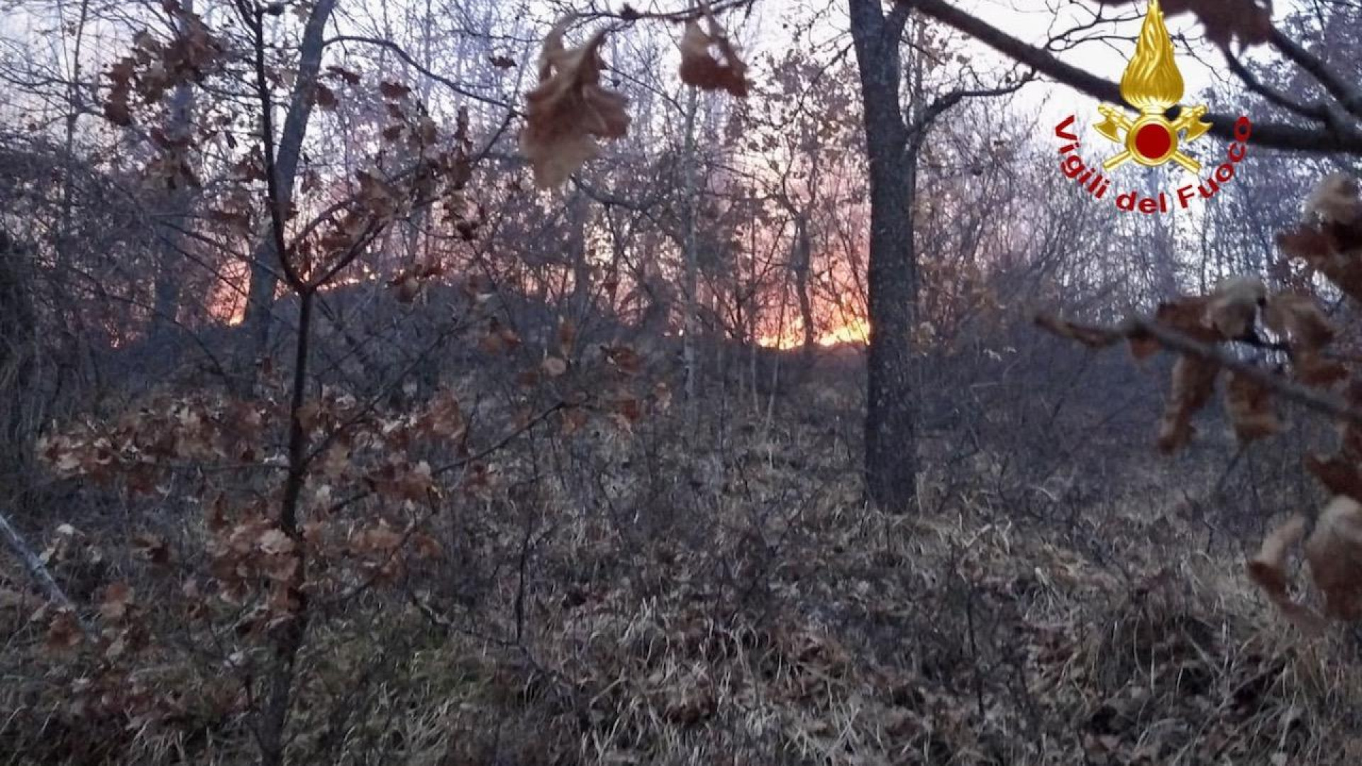 Raffica di incendi in provincia. Regione attiva fase di preallarme fino al 3 aprile