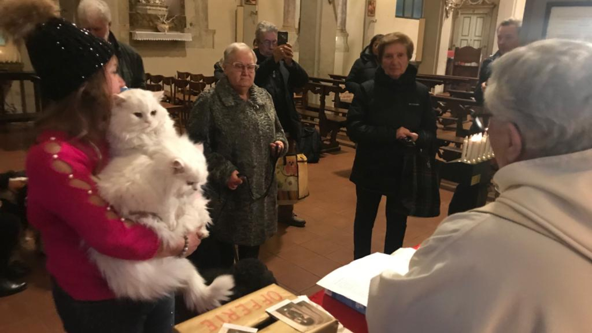 Sant'Antonio: a Groppallo e in San Dalmazio la benedizione degli animali