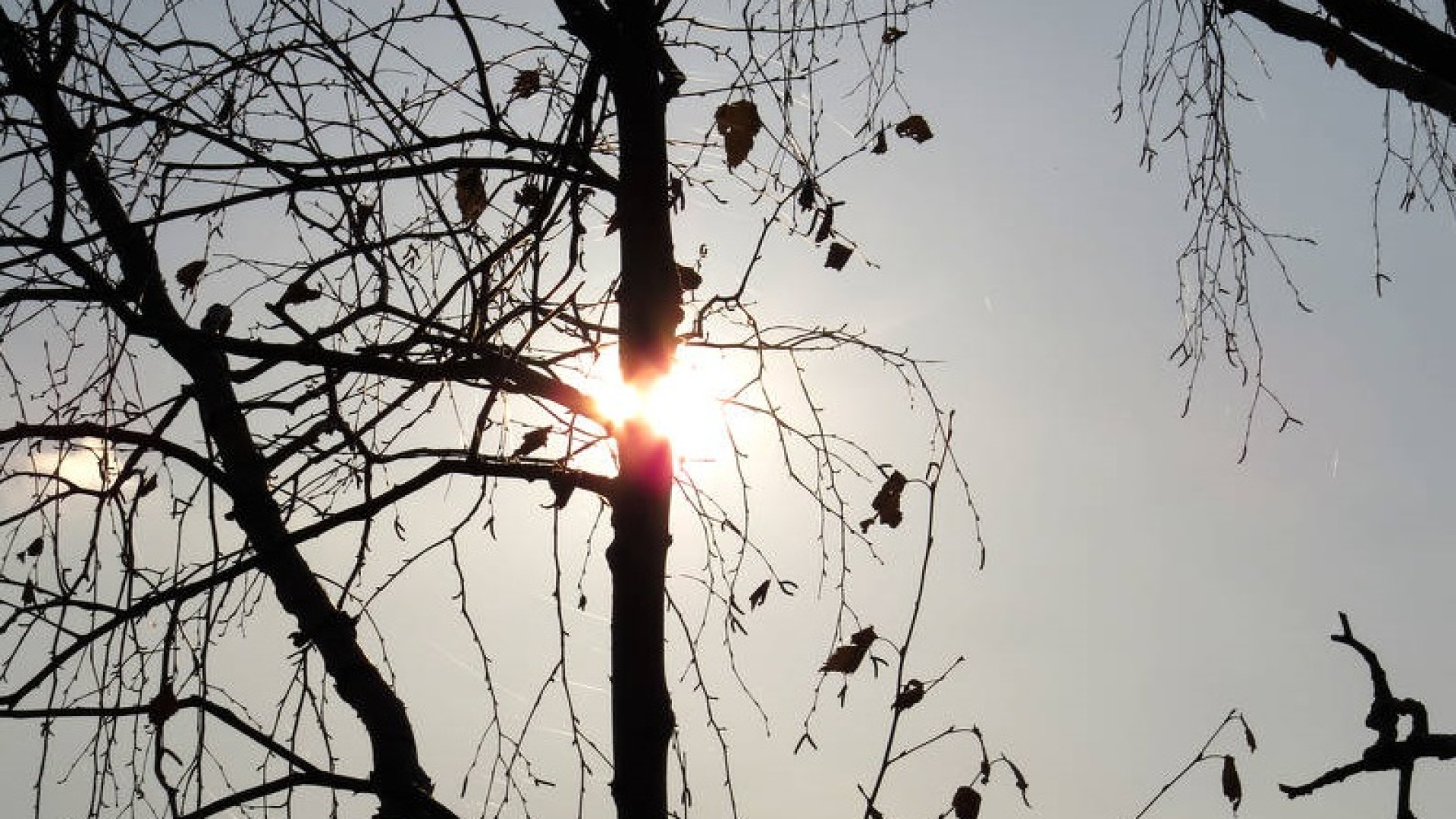 Oggi primo giorno di primavera all'insegna del freddo. Le previsioni