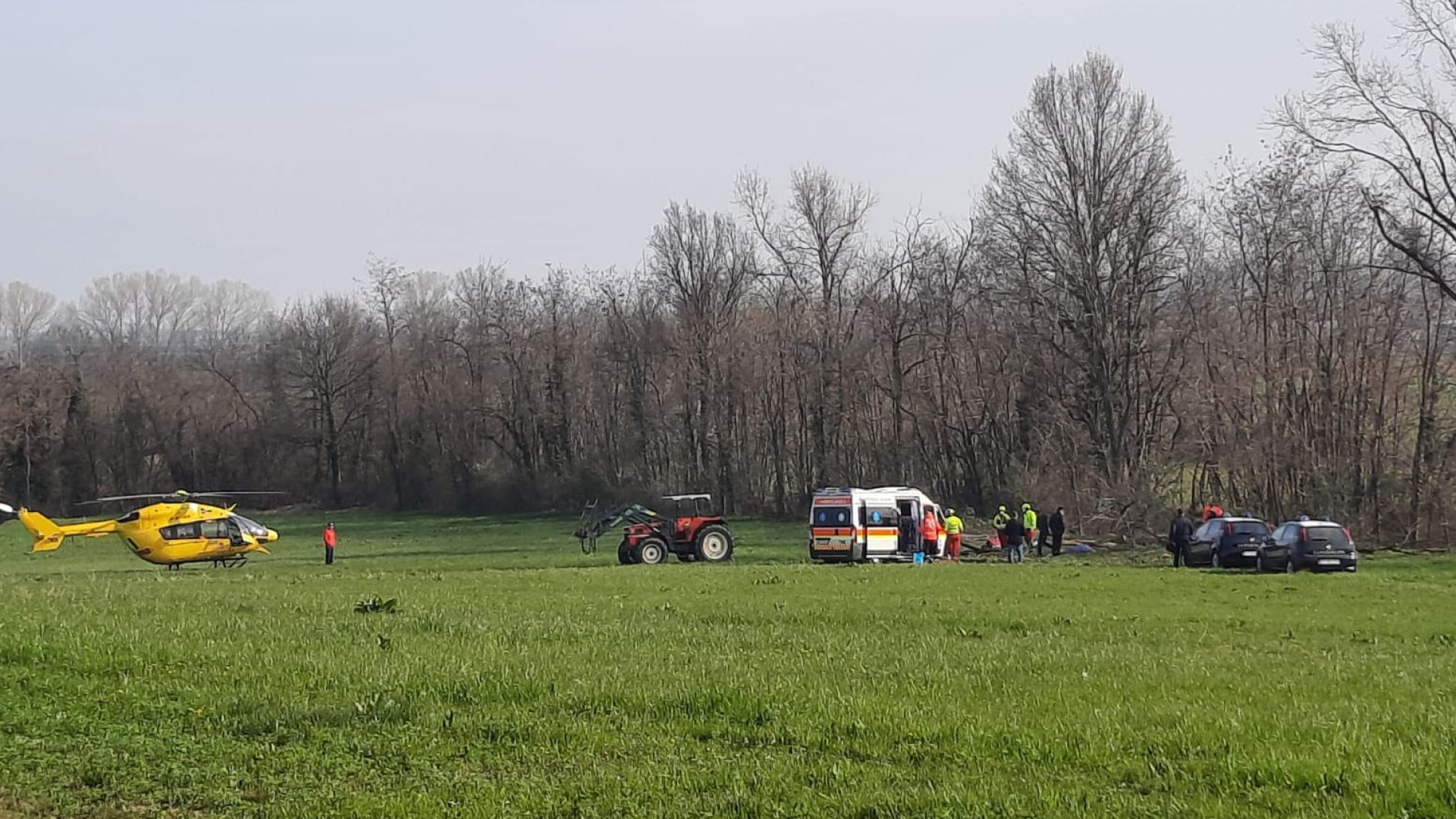 Tragico infortunio sul lavoro: crolla un albero e muore un 64enne