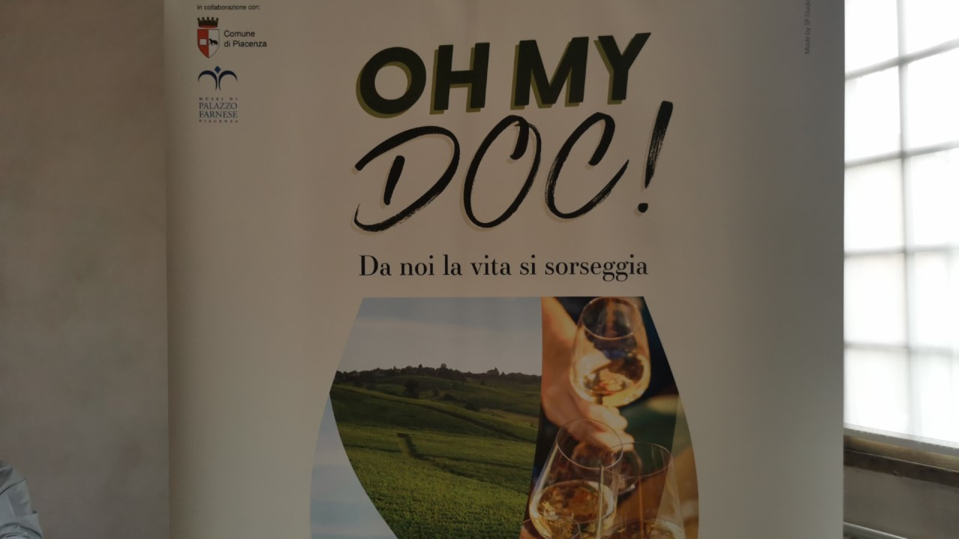 "Oh my Doc!", vini e cultura: l'esperienza dei Colli Piacentini a Palazzo Farnese
