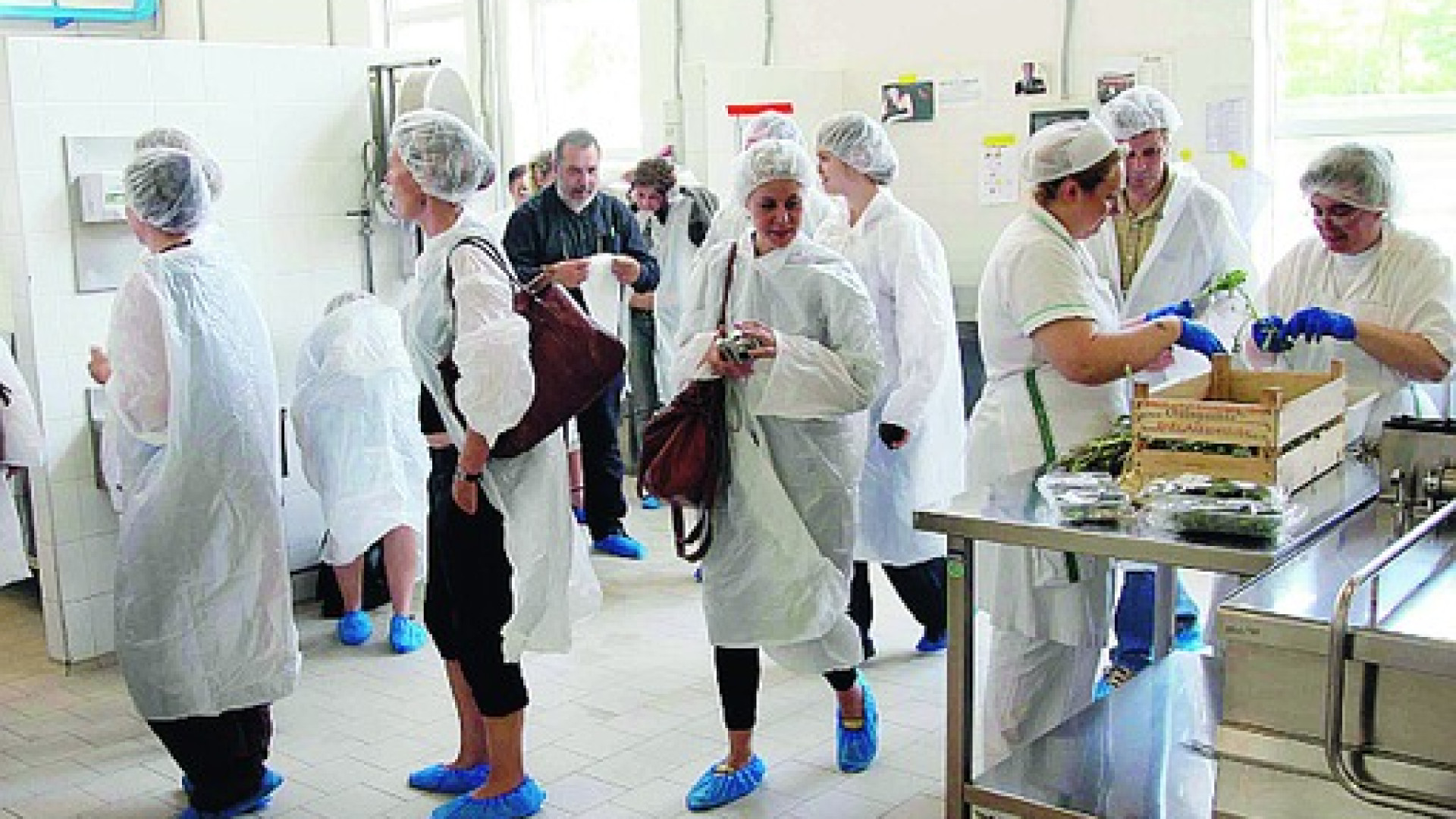 Mense comunali, il Comune di Piacenza a caccia di un controllore super-esperto