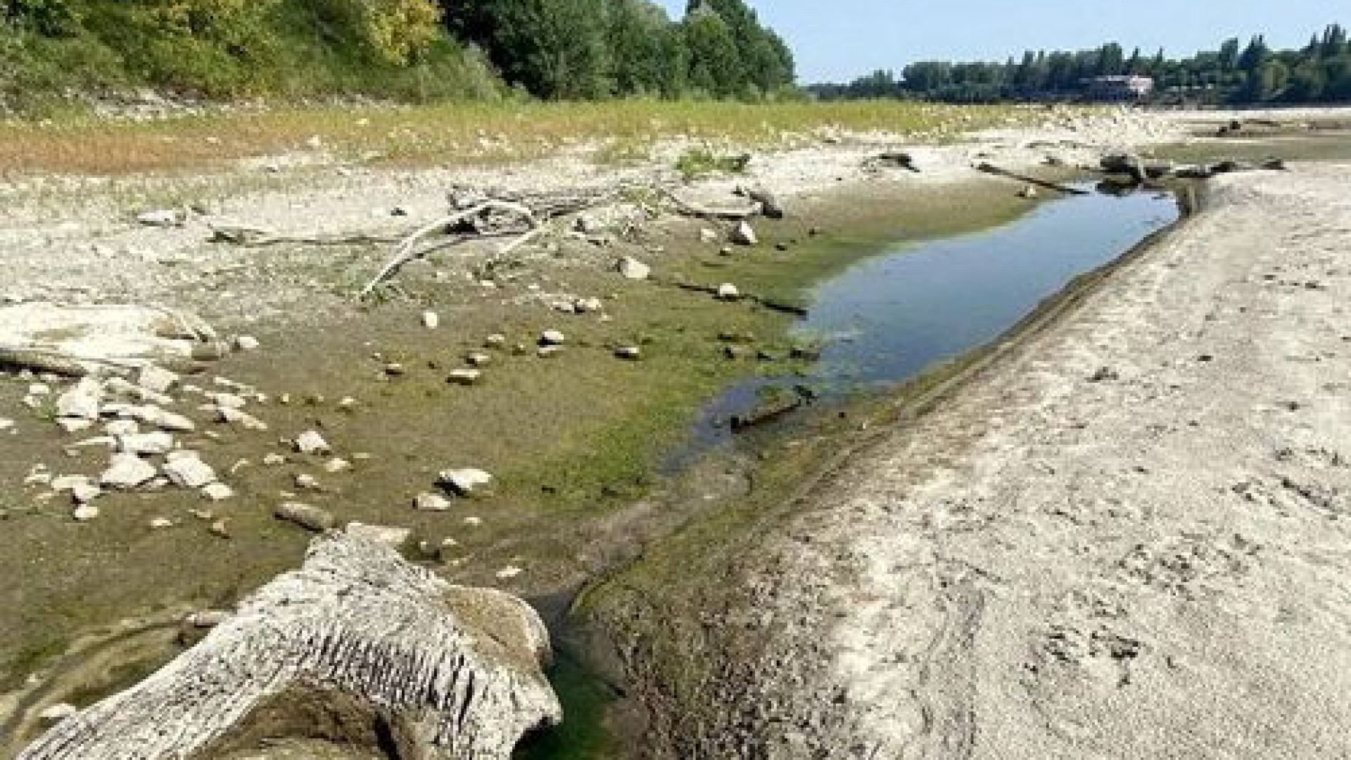 Val d'Arda, agricoltori: "Costretti a sacrificare alcune colture". Diga in affanno