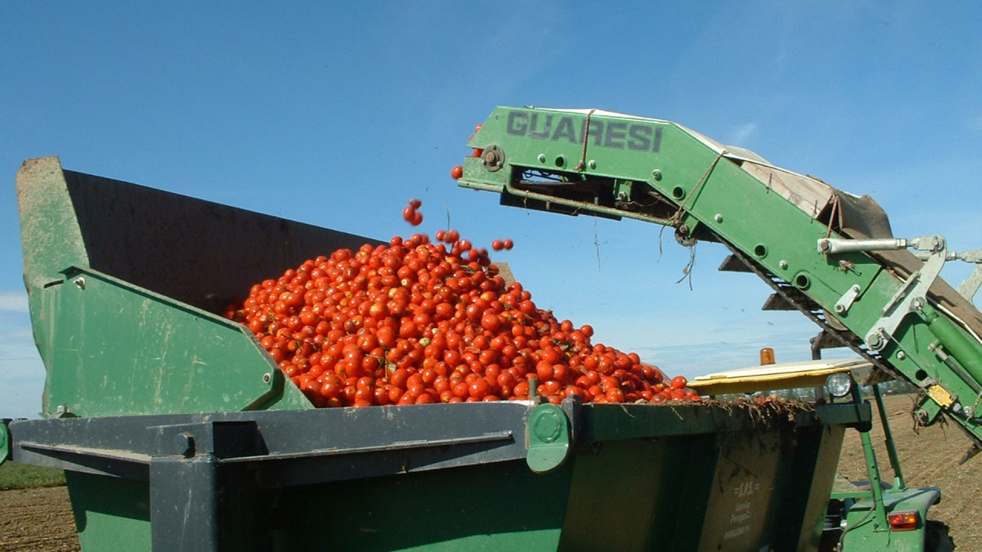 Prezzo del pomodoro come nel 2014: 92 euro a tonnellata