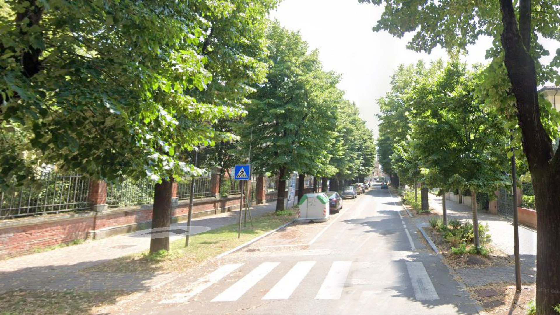 Dieci alberi da abbattere a Castel San Giovanni, il Comune: "Saranno sostituiti"