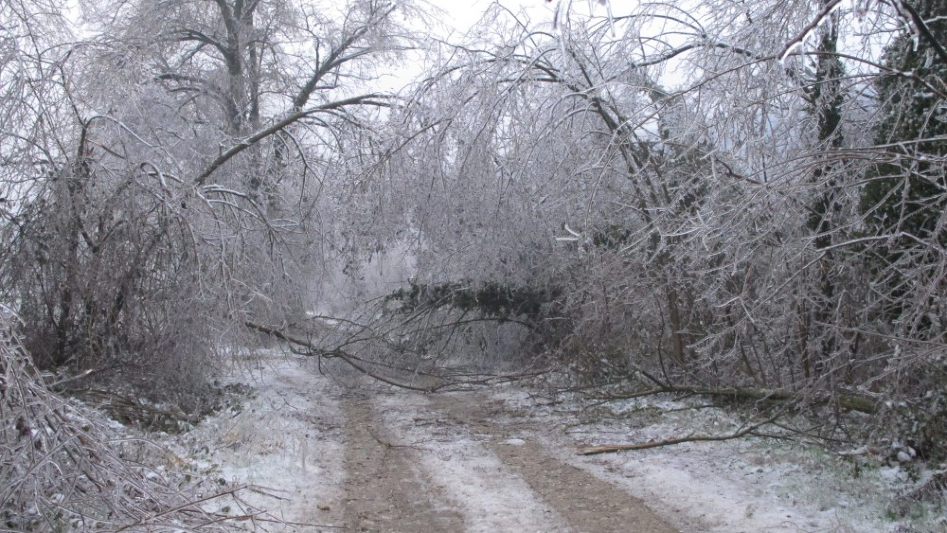 Passata la nevicata arriva il rischio gelicidio: allerta arancione nelle alte valli