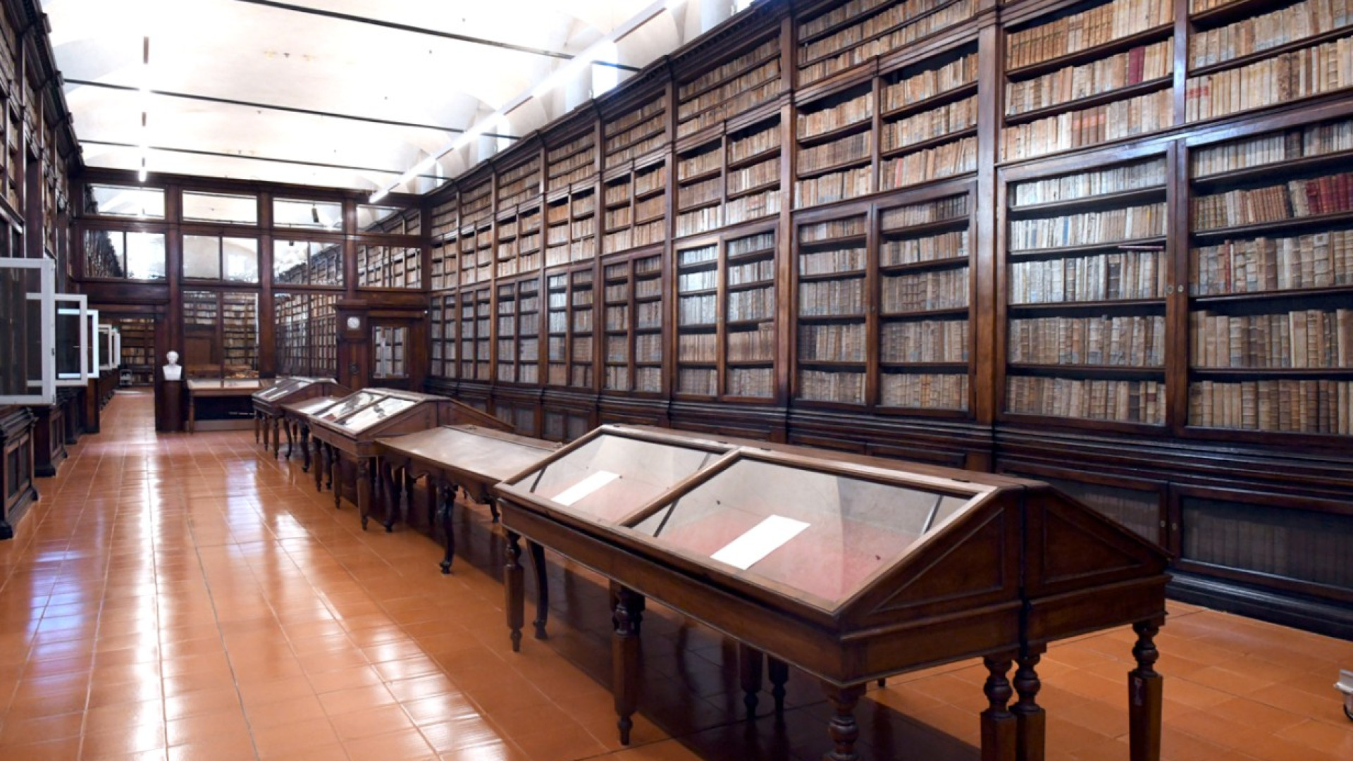 Al via gli incontri del gruppo di lettura “Trame in Biblioteca”