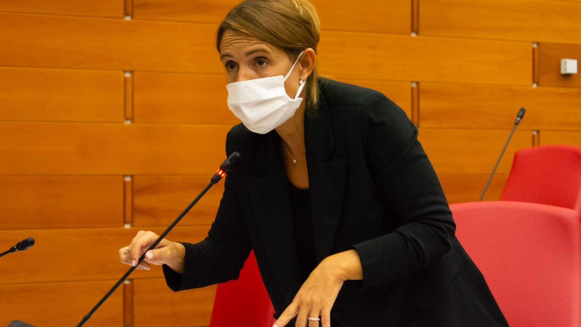 Tarasconi, tweet al vetriolo contro Letta: "Tema parità utilizzato a vanvera"