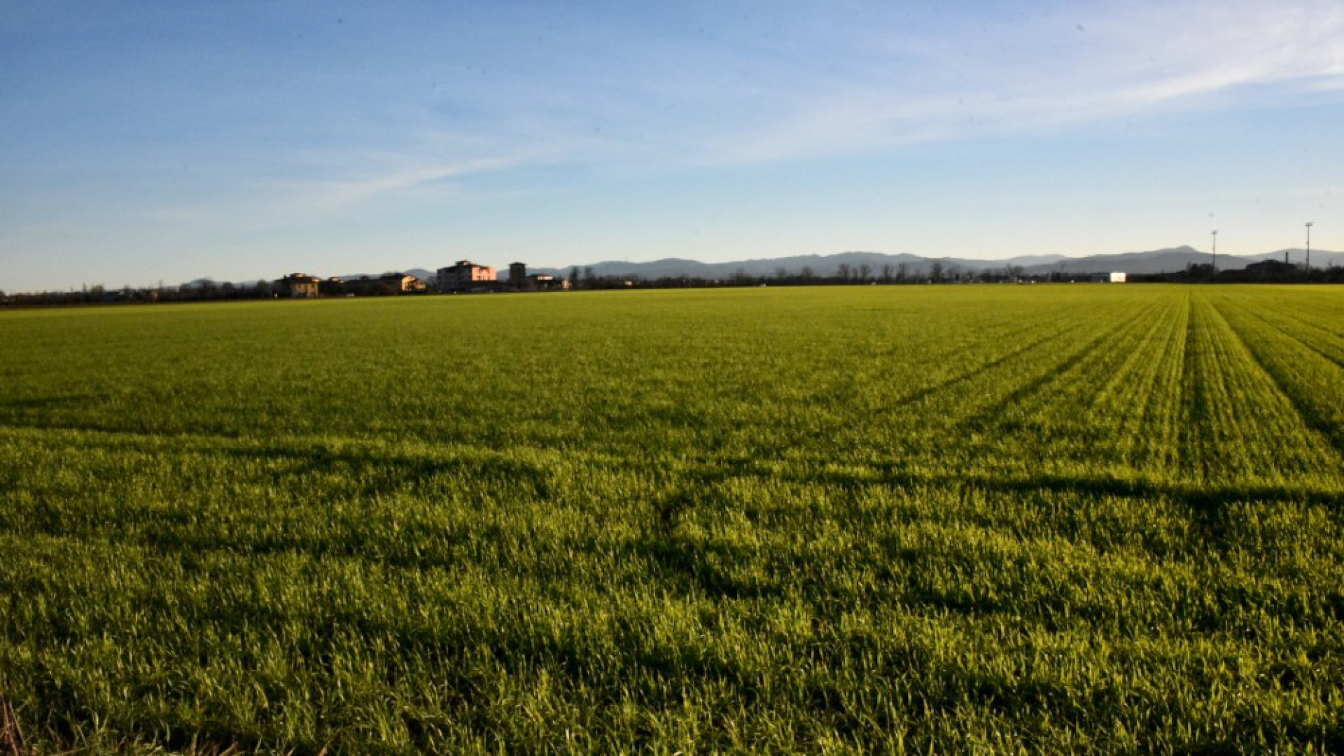 Nelle domeniche di maggio ritorna "Fattorie Aperte": "Per scoprire la campagna"
