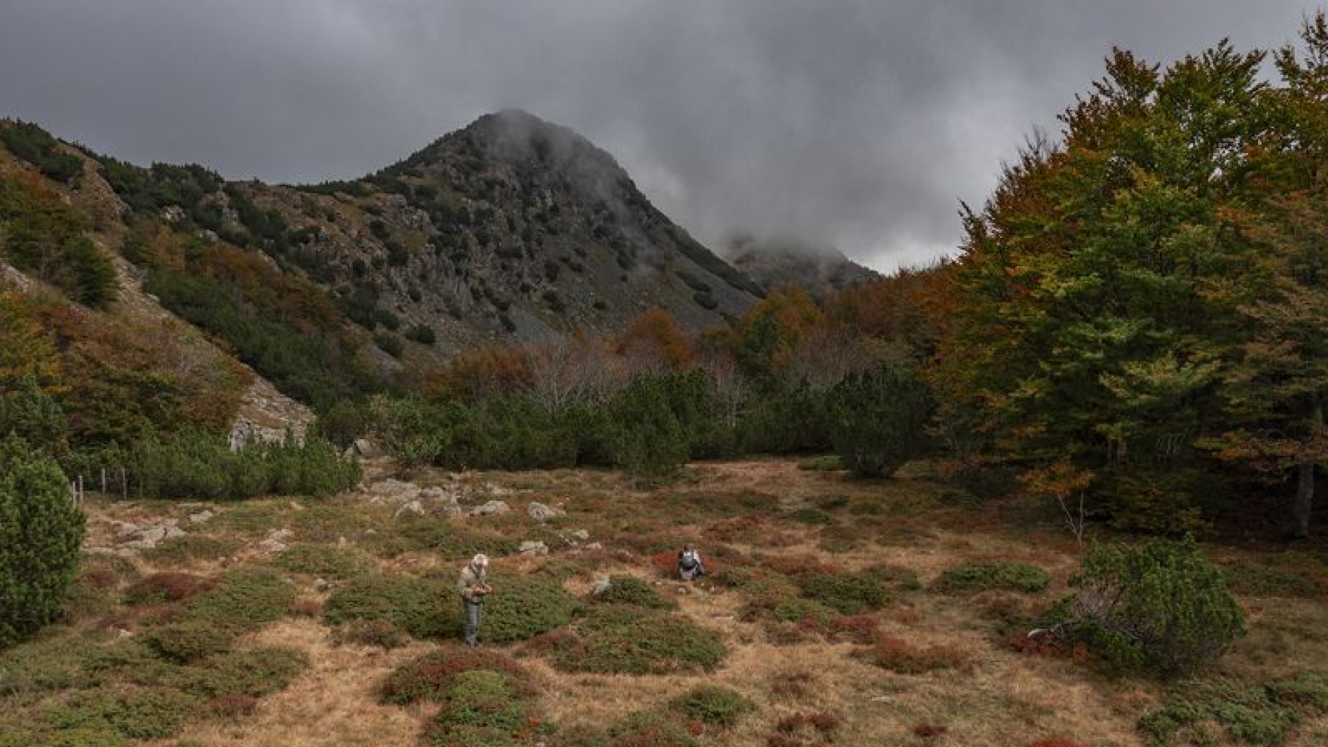 Alta Val Nure: la magica atmosfera della faggeta immersa nella nebbia